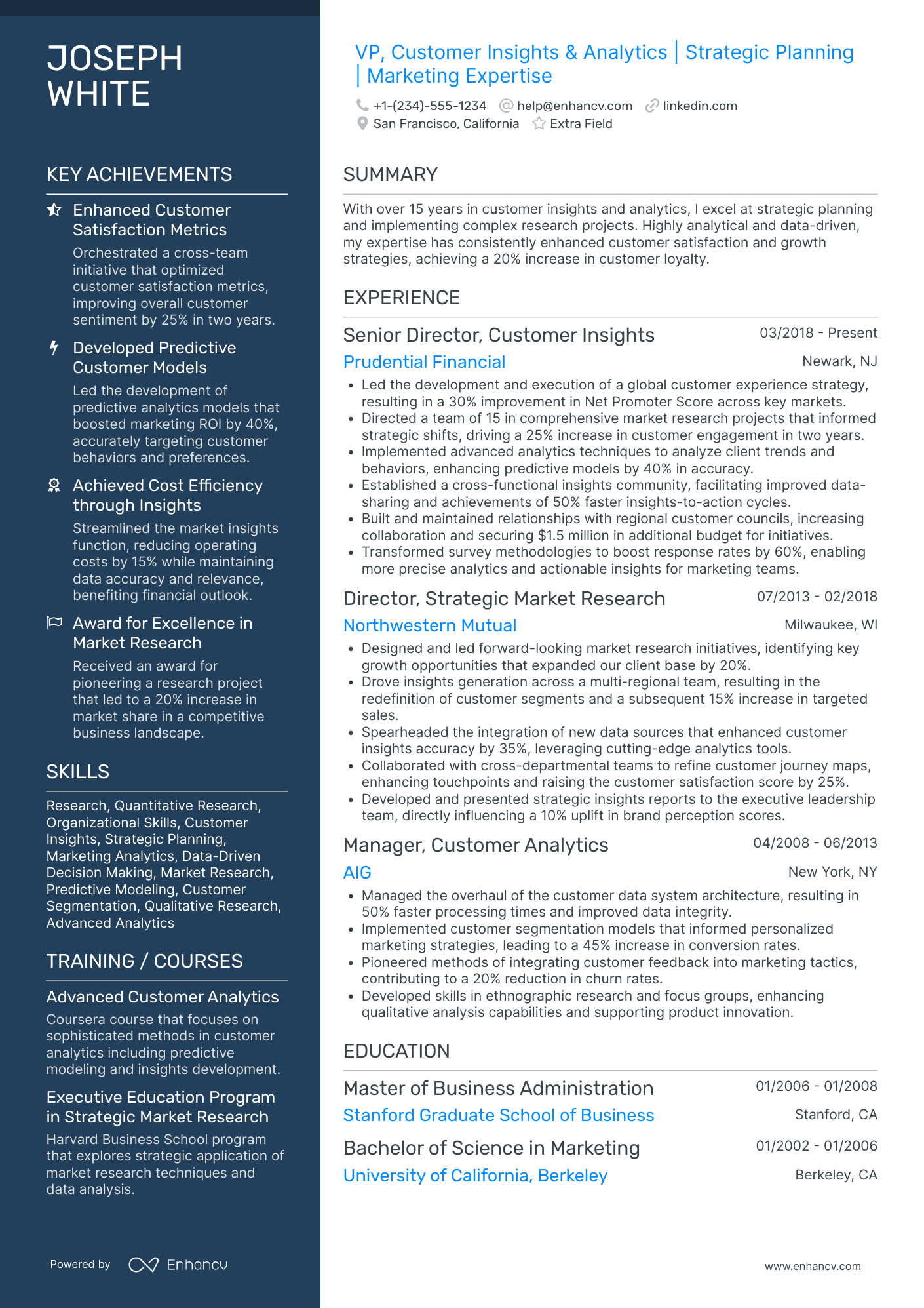 VP Marketing Analytics Resume Example