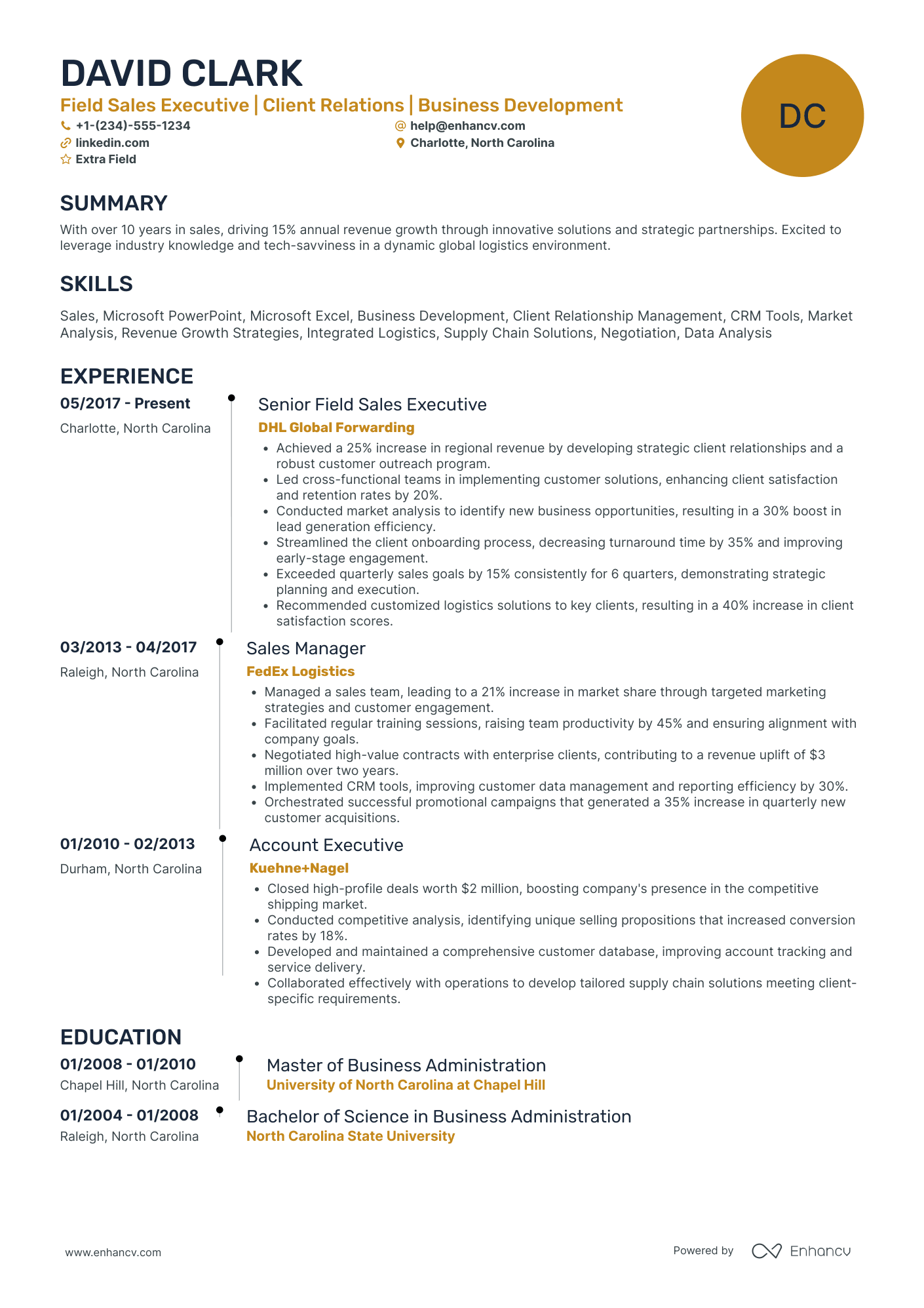 Field Sales Executive Resume Example