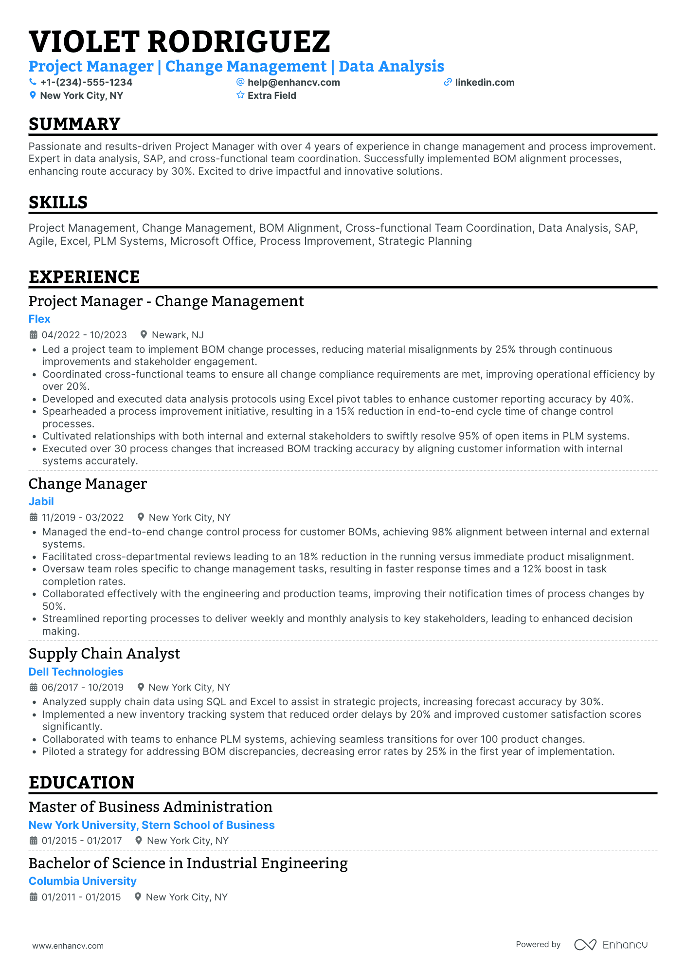 Change Management Project Manager Resume Example