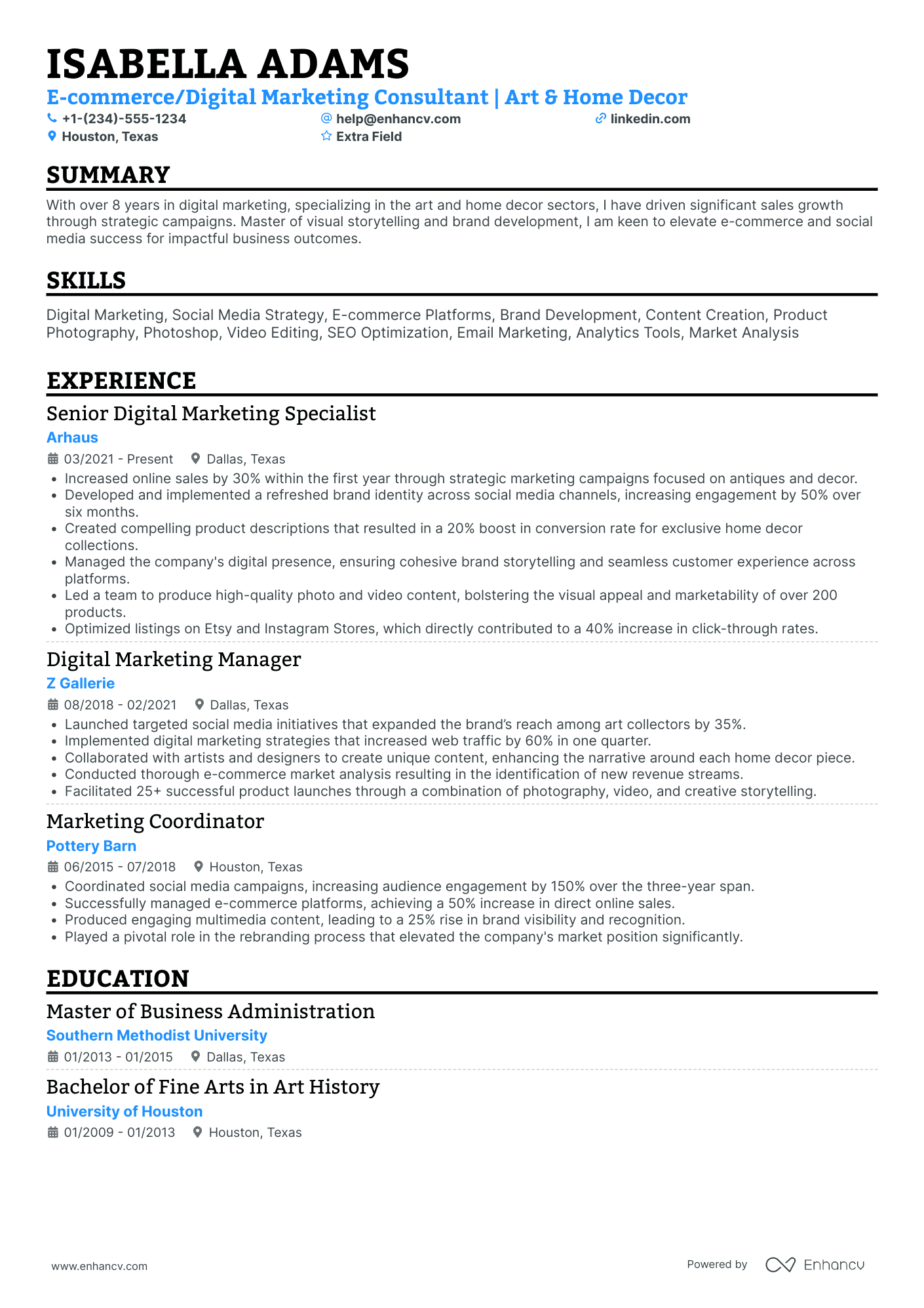 Freelance Mixed Media Artist Resume Example