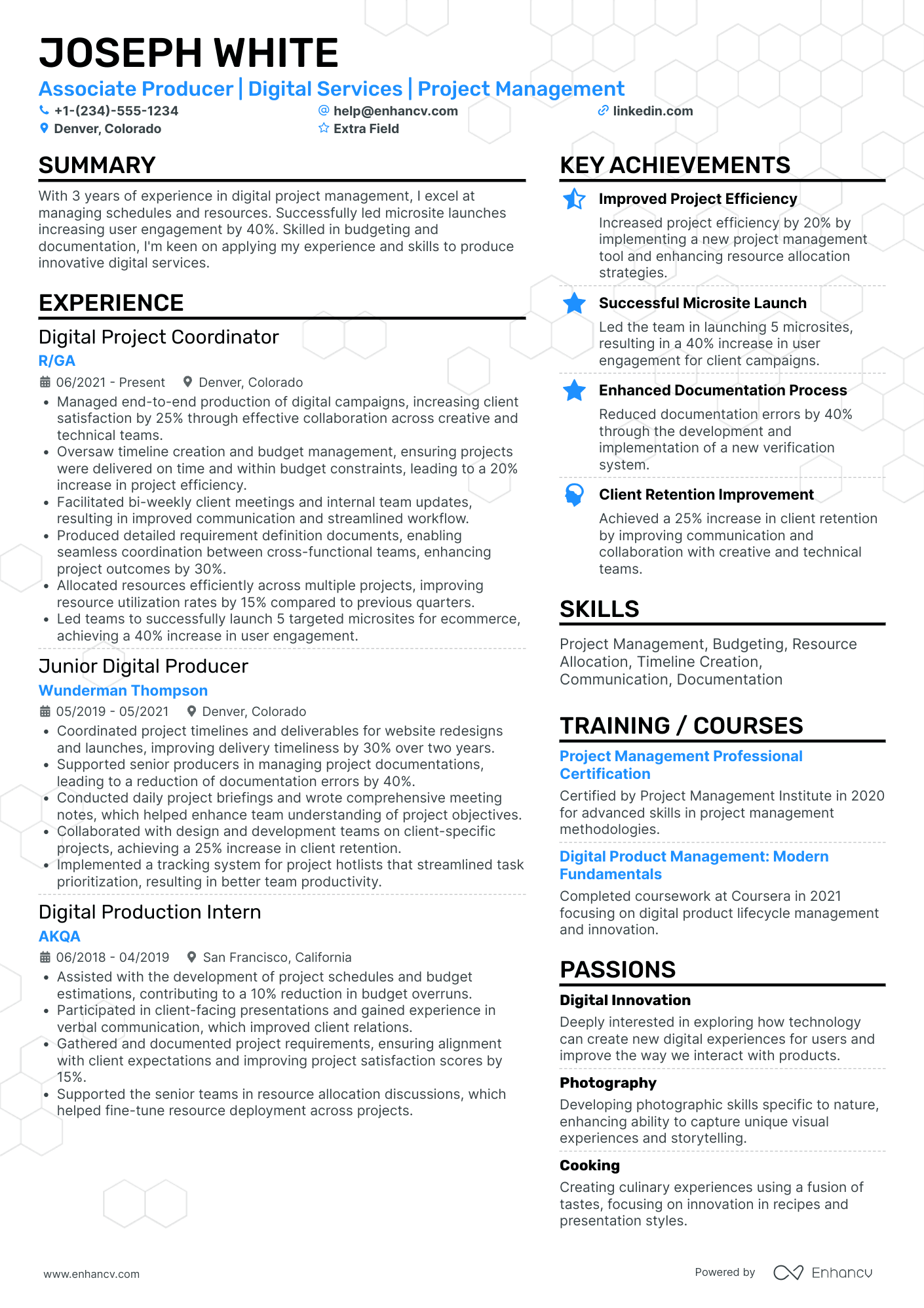 Junior Freelance Artist Resume Example