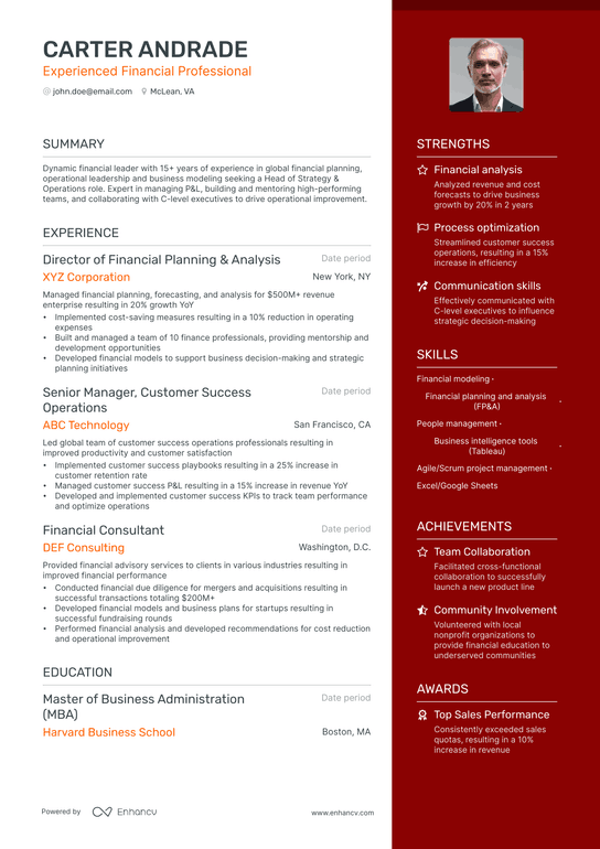 Financial Professional Resume Example