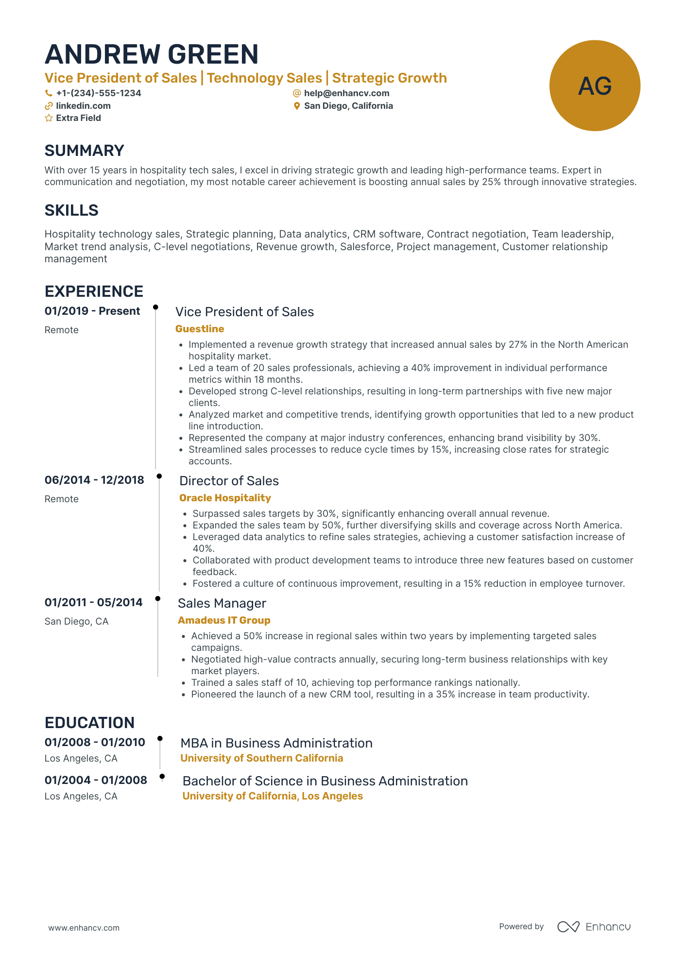 Vice President of Sales Resume Example