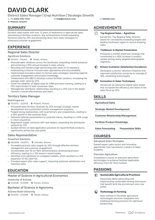 District Sales Manager Resume Example