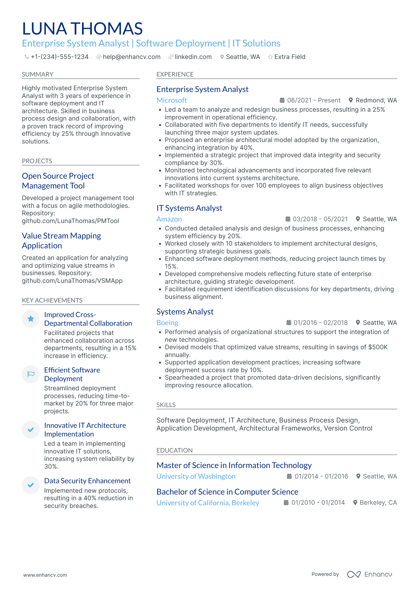 Enterprise System Analyst Resume Example