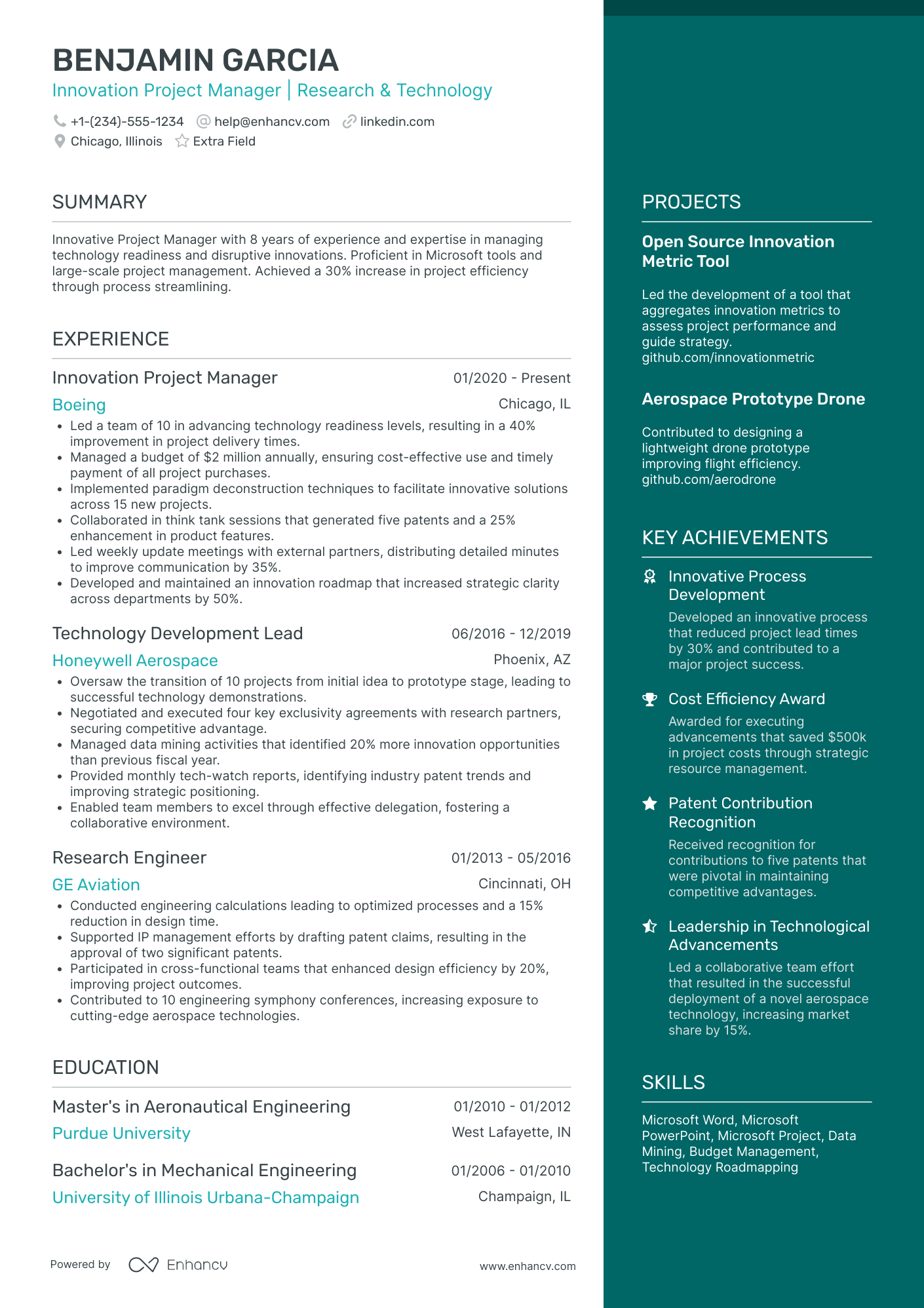 Data Mining Project Manager Resume Example