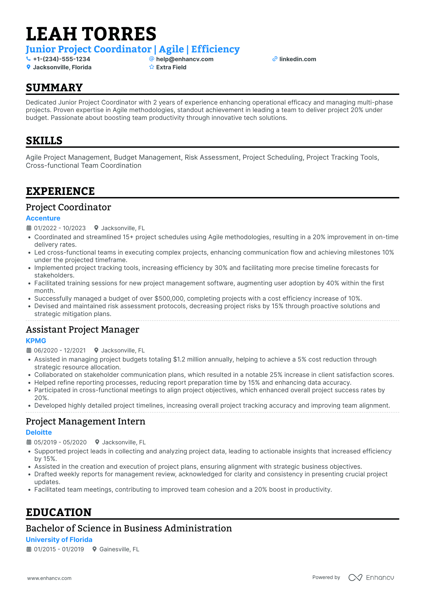 Junior Project Coordinator Resume Example