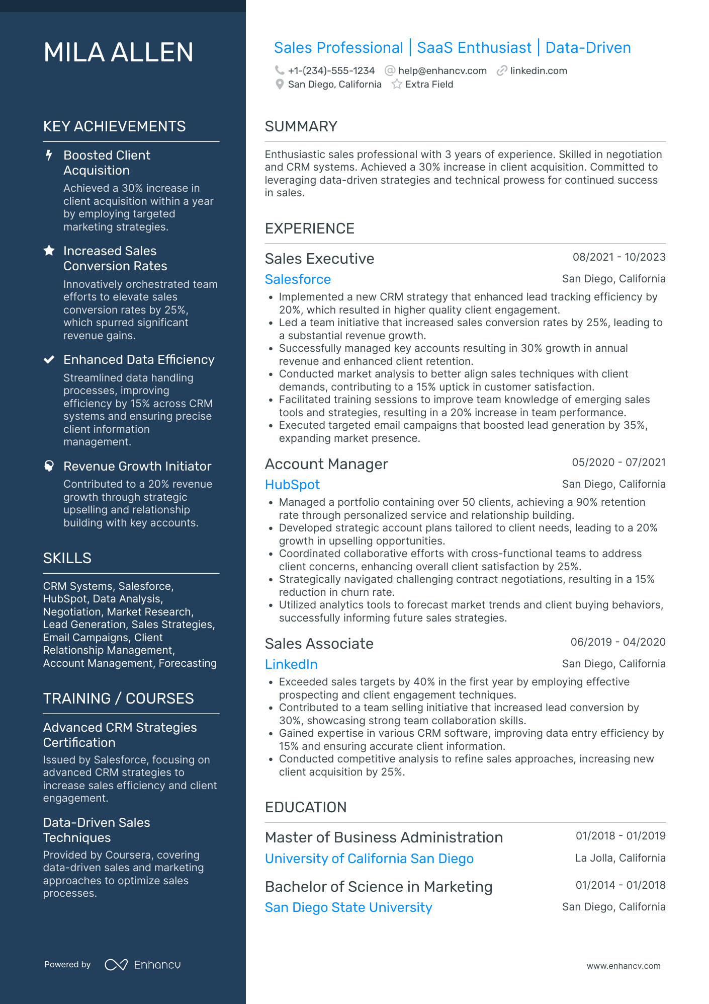 Entry Level Sales Professional Resume Example