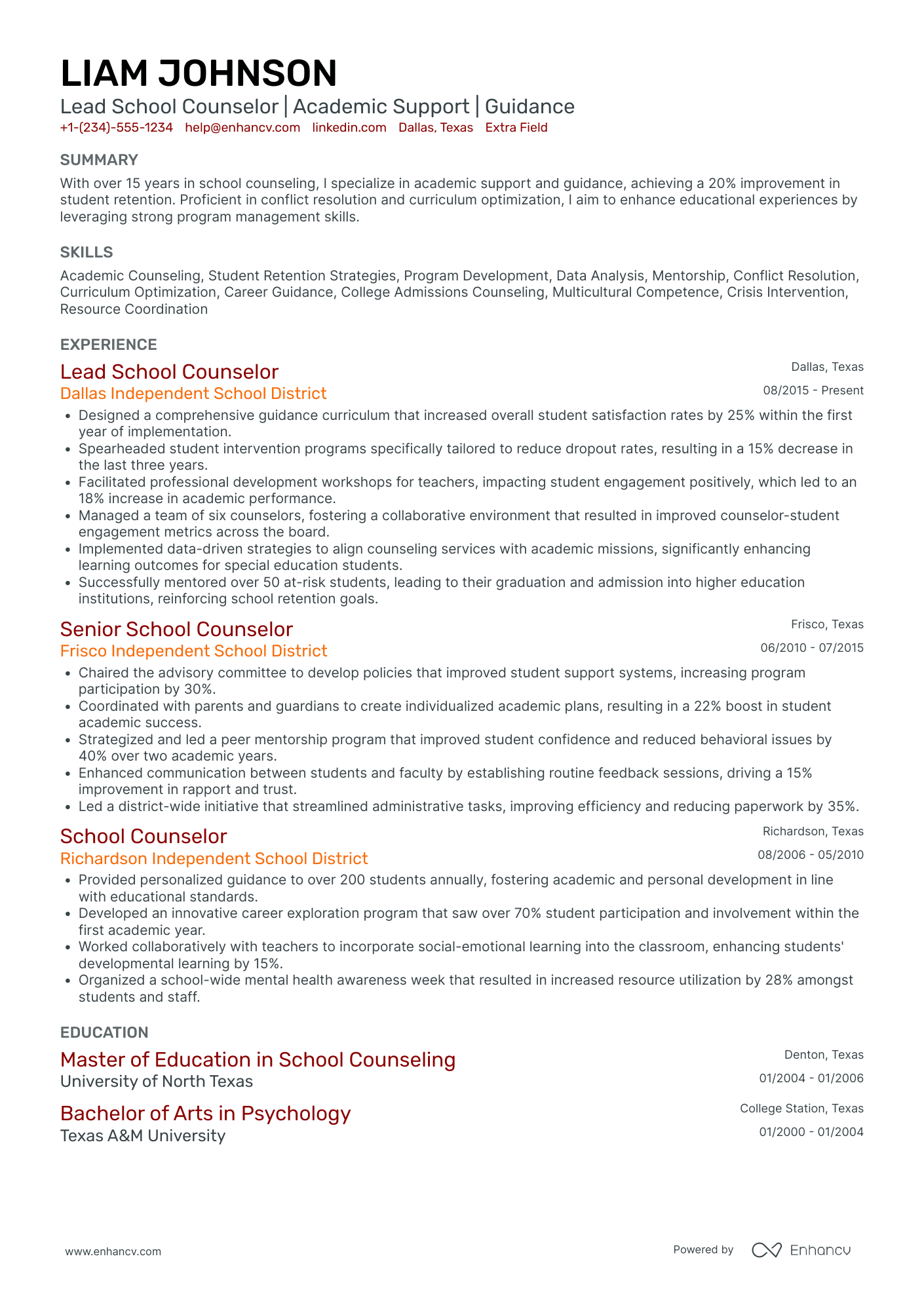 Lead School Counselor Resume Example