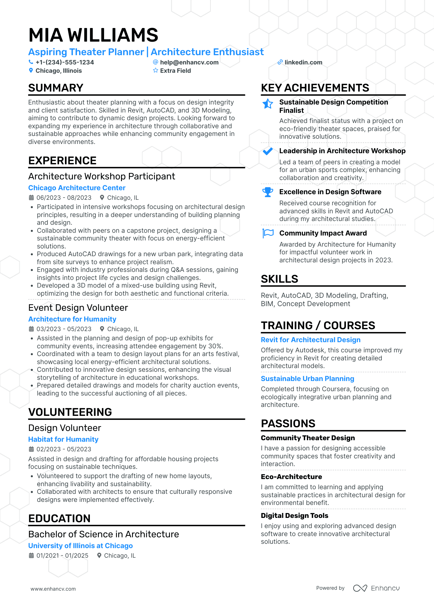 Theater Intern Resume Example