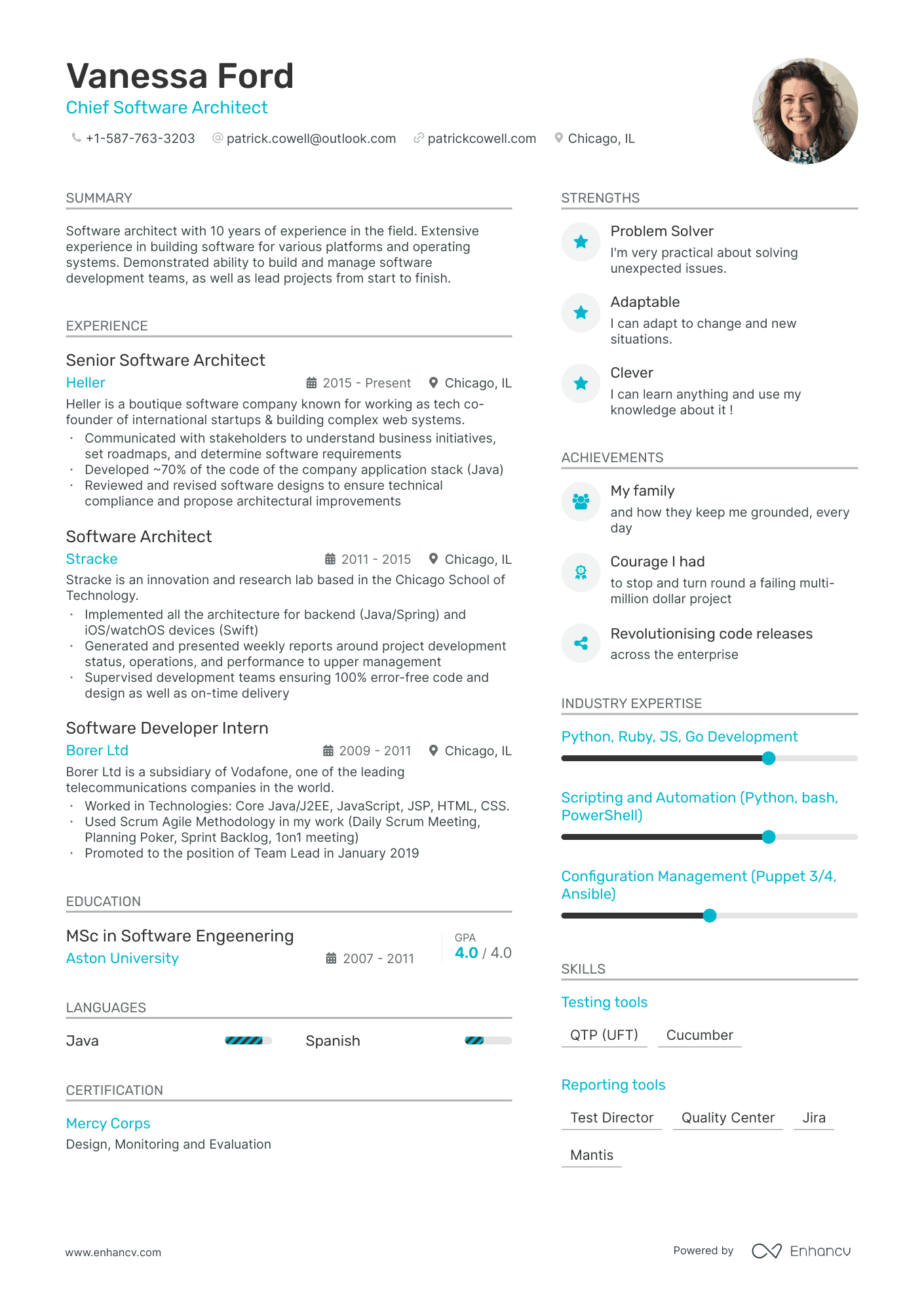 Software Architect Resume Example