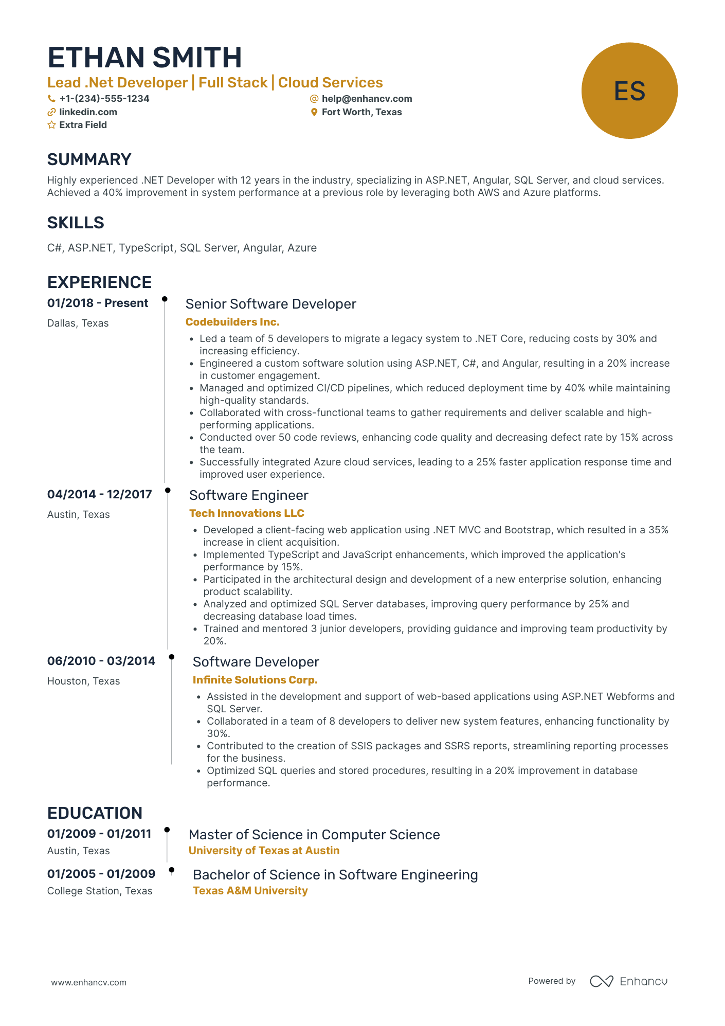 Lead .Net Developer Resume Example