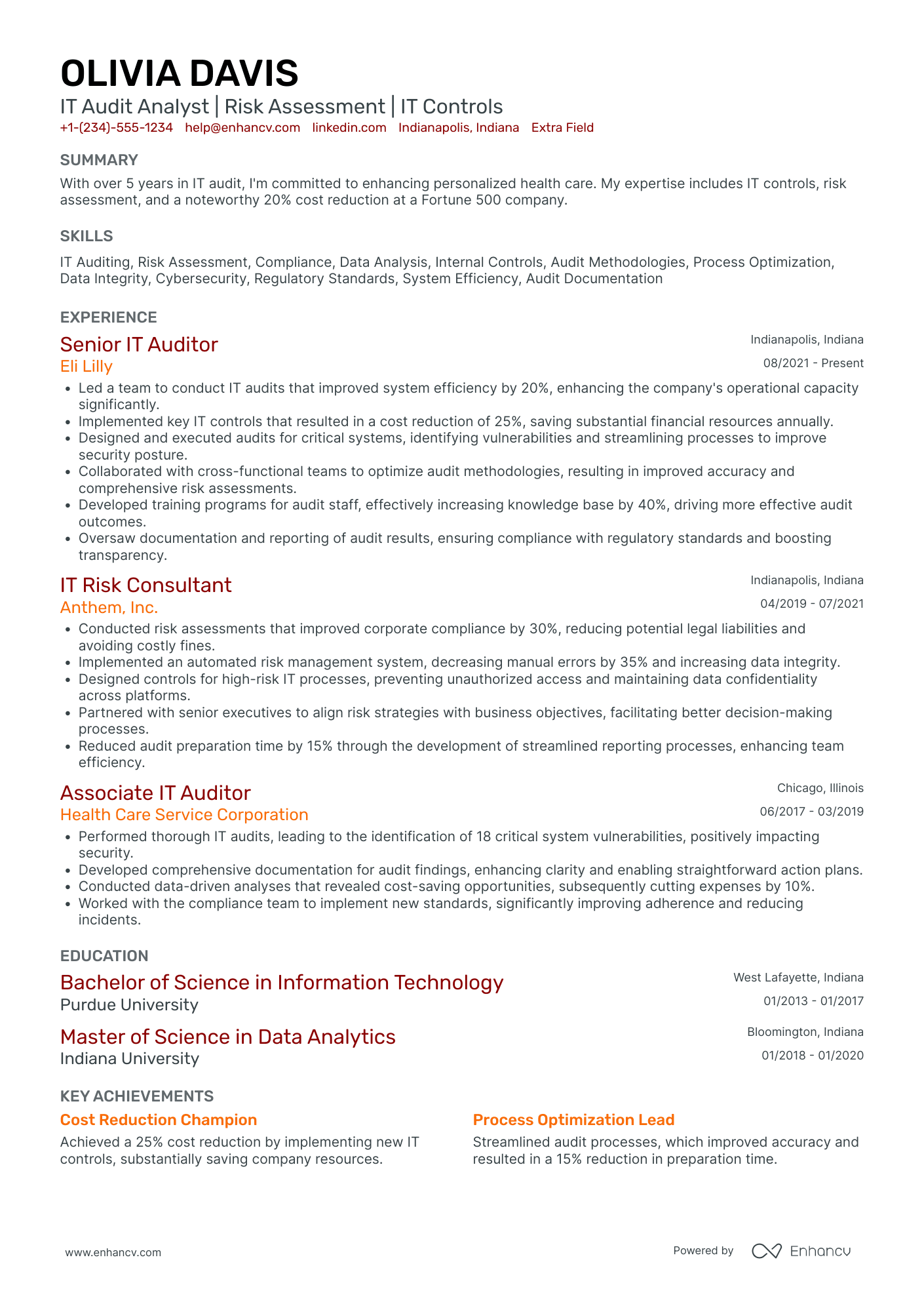 IT Audit Analyst Resume Example