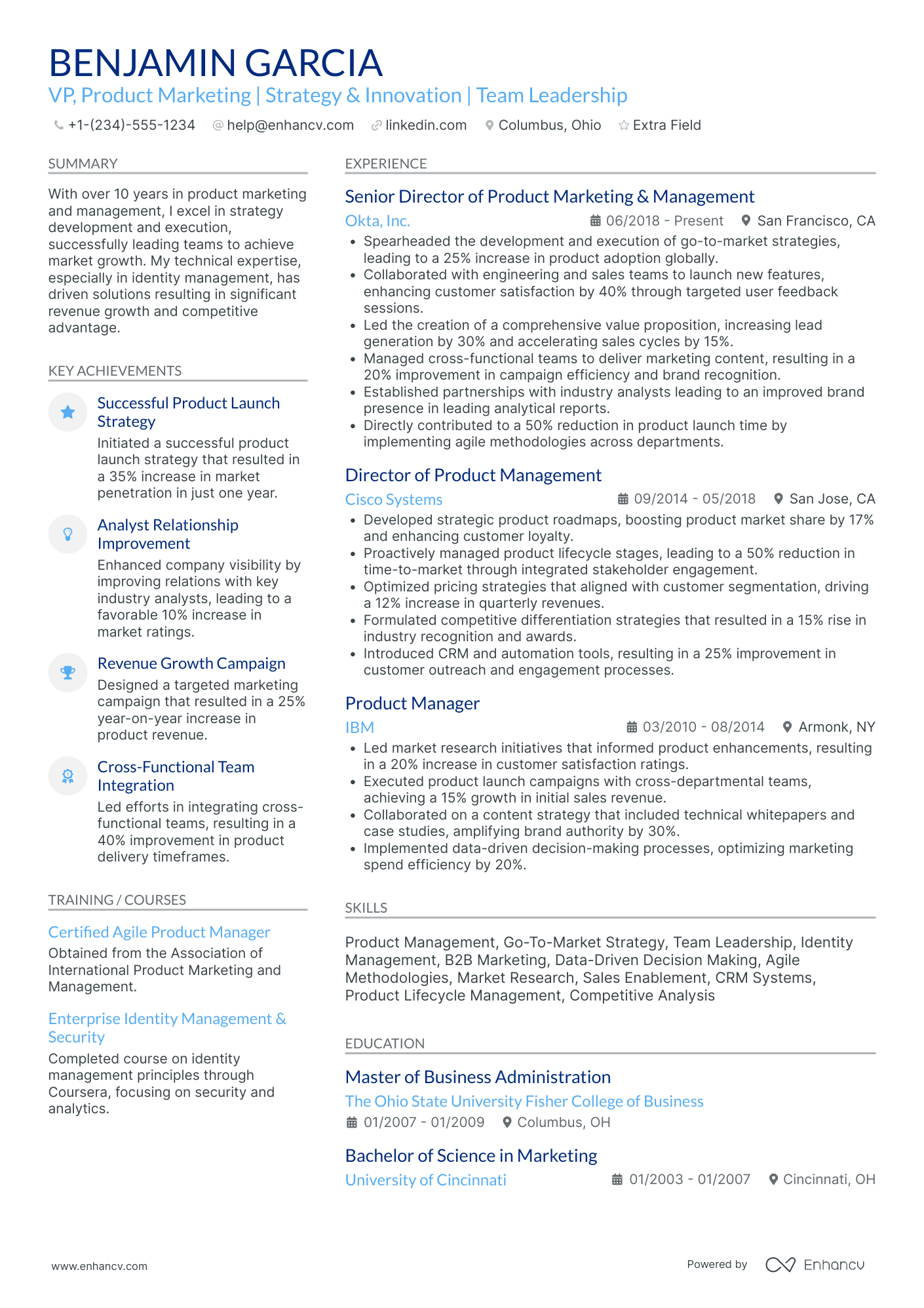 VP Digital Marketing and Product Management Resume Example