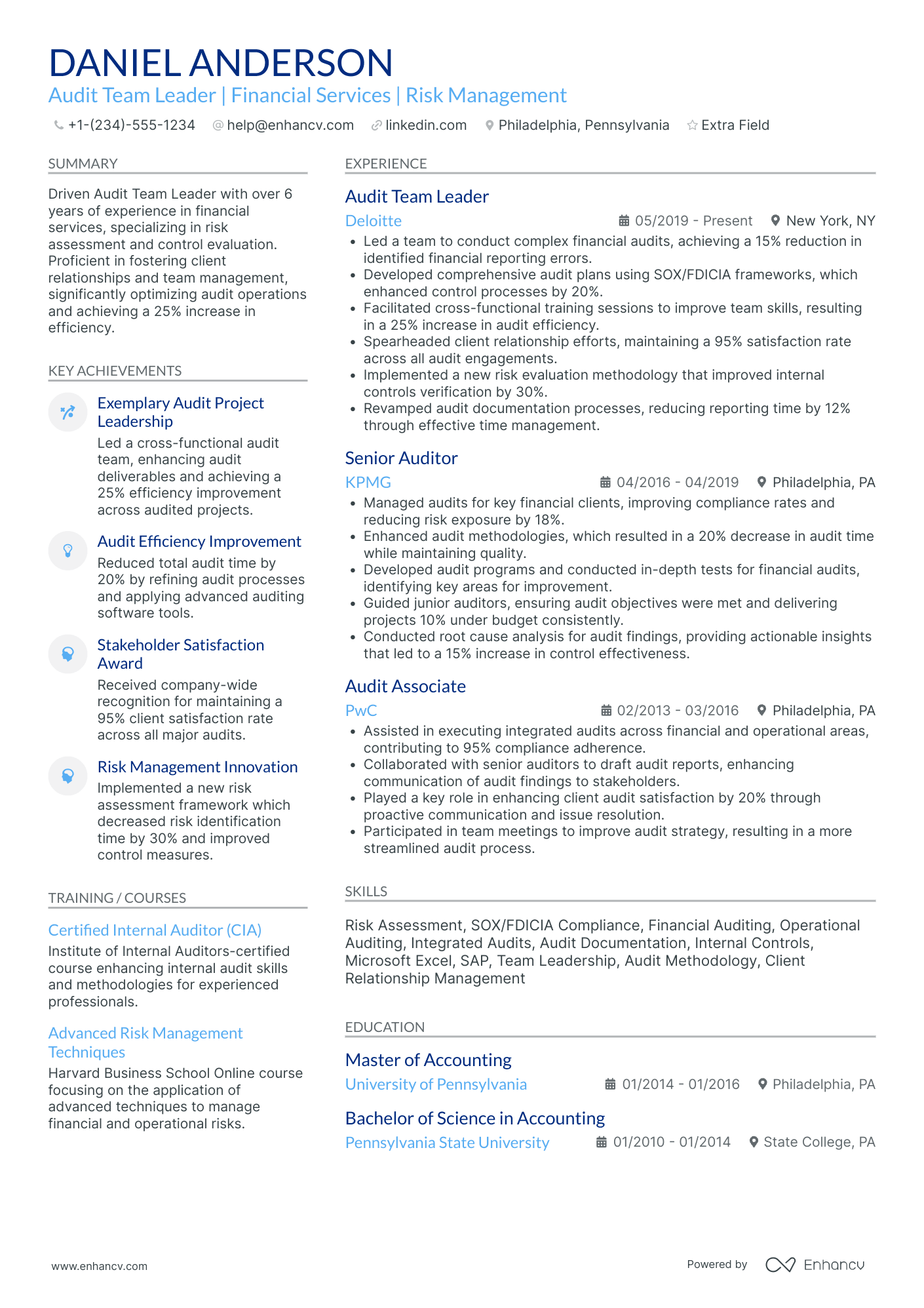 IT Audit Team Leader Resume Example