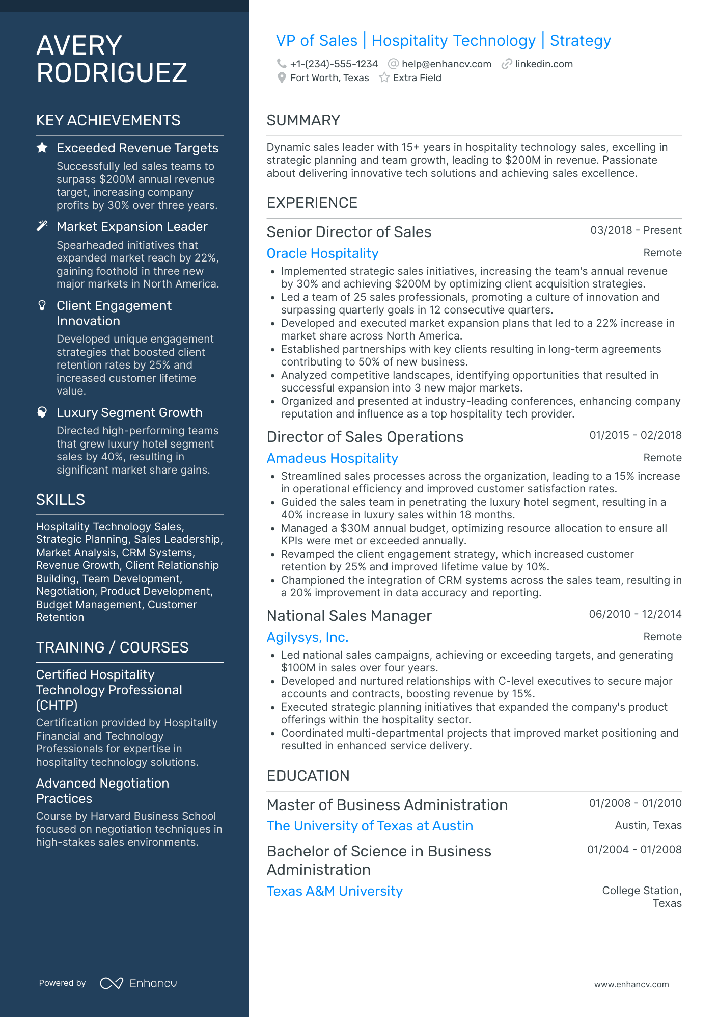 Vice President of Sales Resume Example