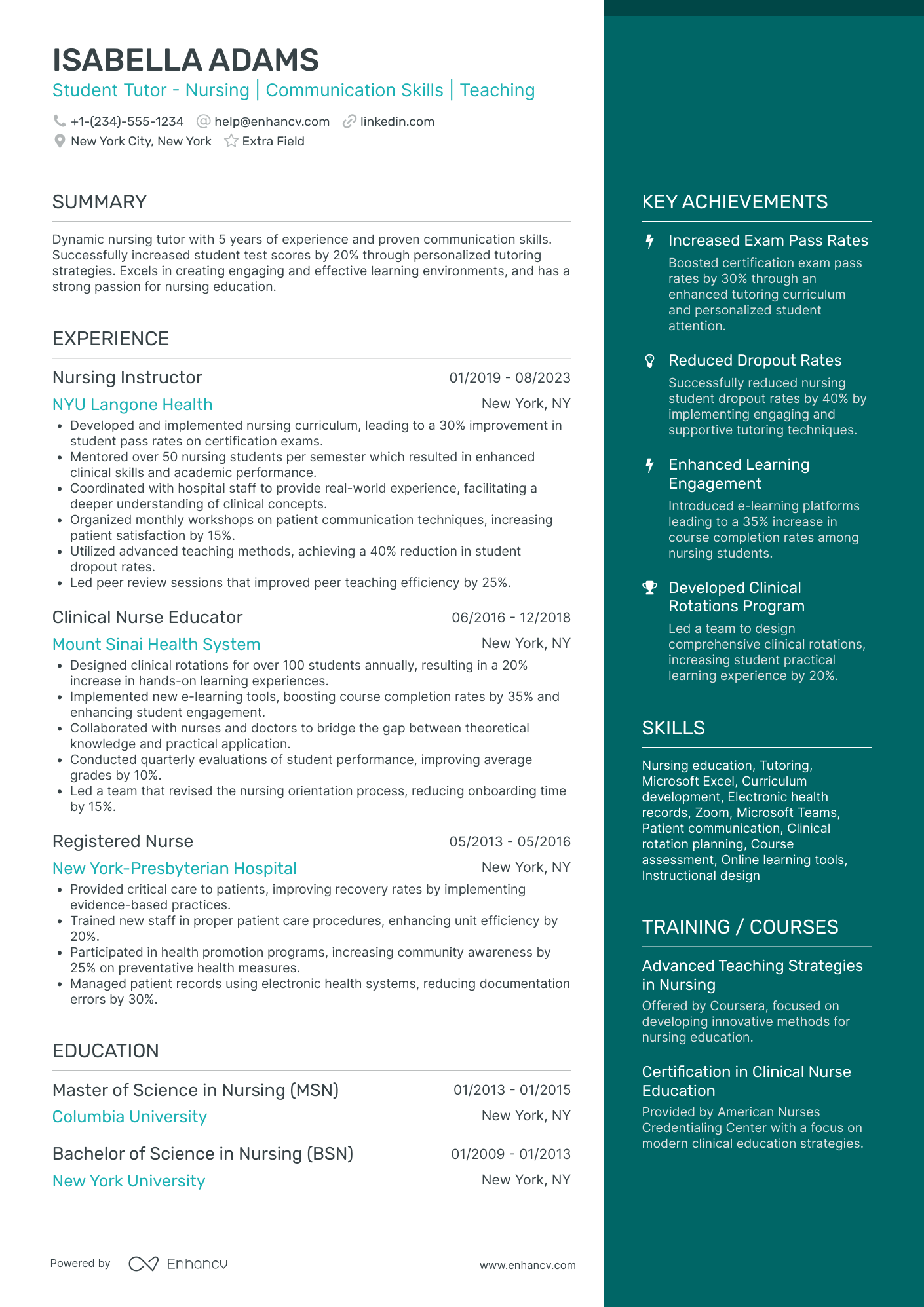 Nursing Student Tutor Resume Example