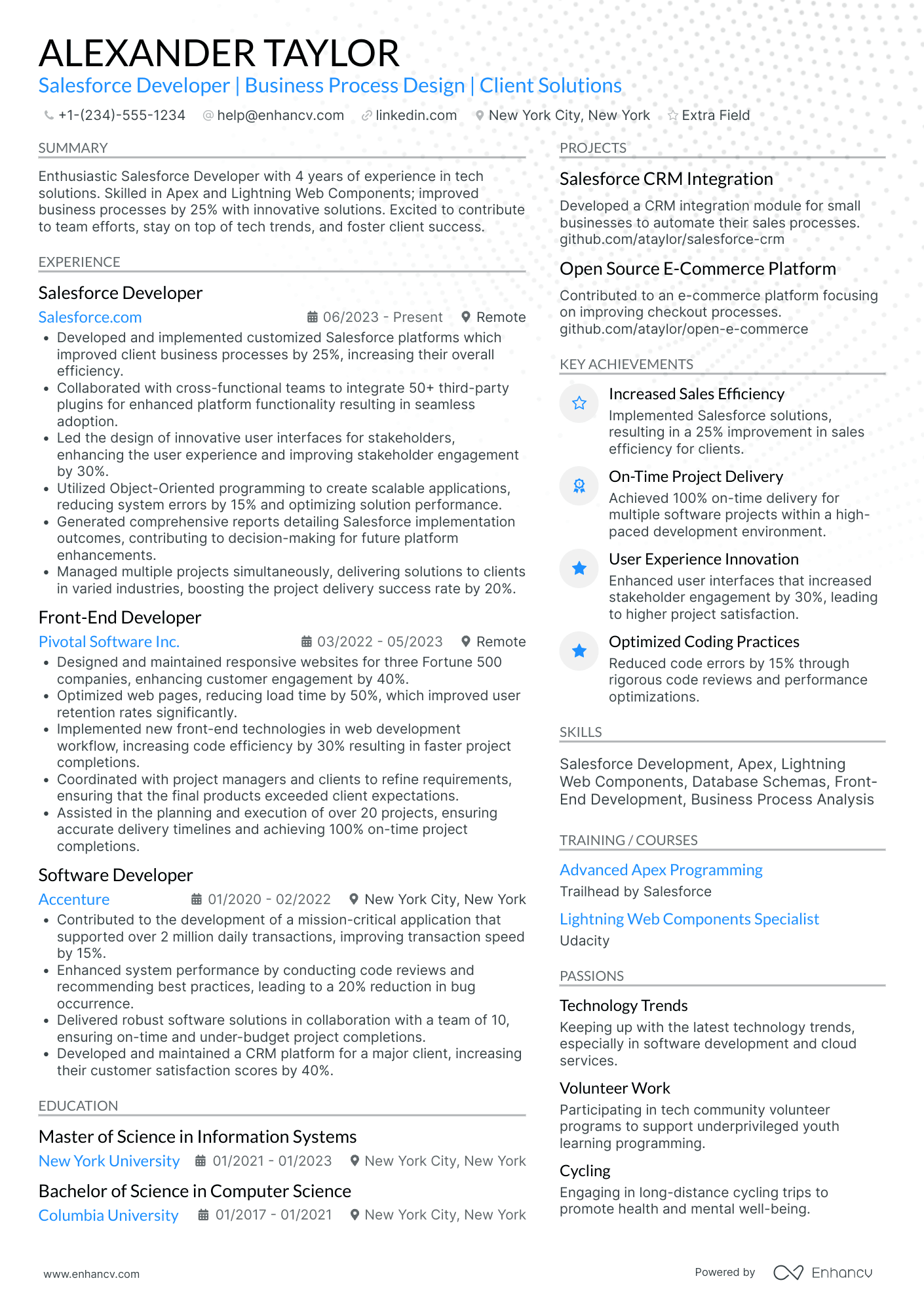 Salesforce Developer Intern Resume Example