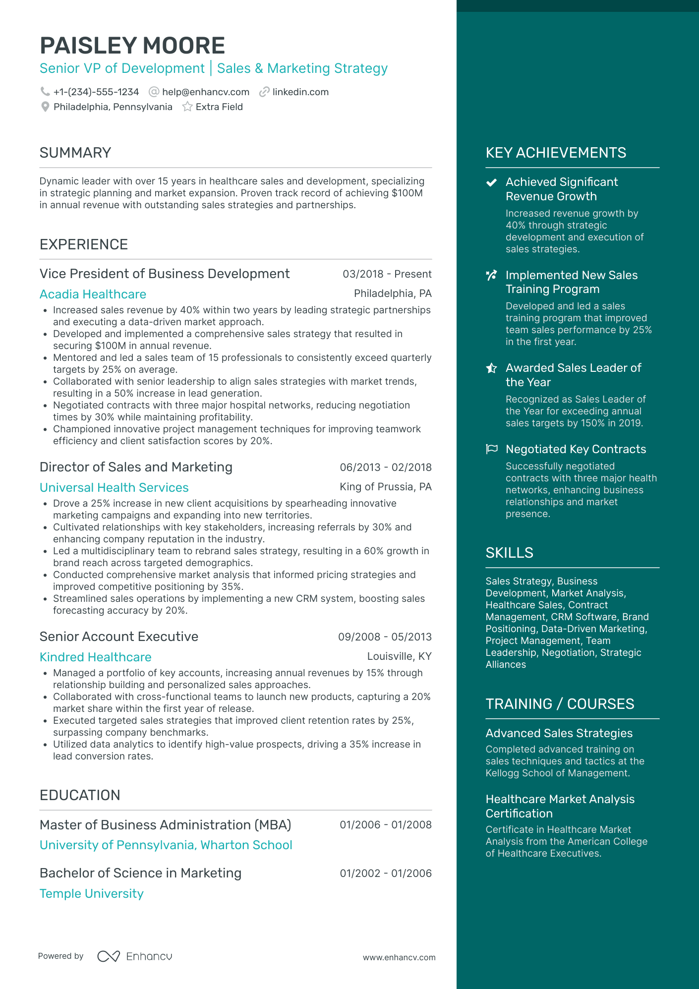 Senior VP of Sales Resume Example