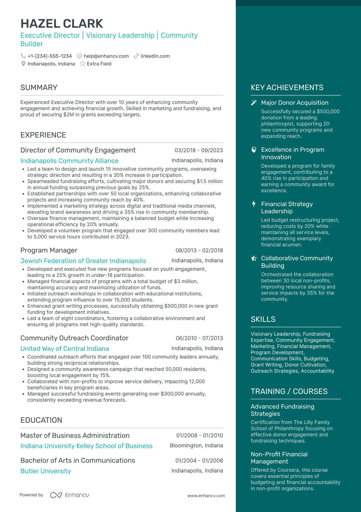 Non Profit Executive Director Resume Example