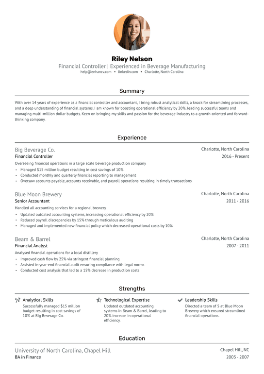Modern CEO Resume Example