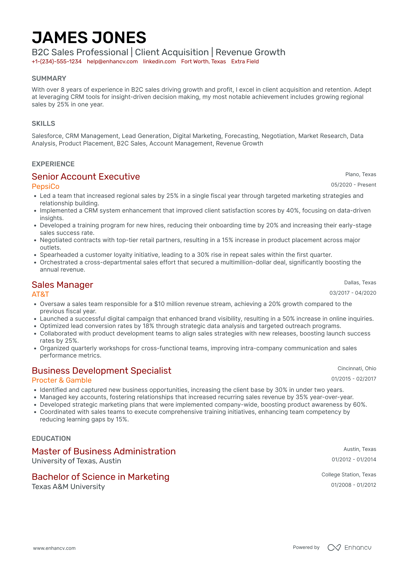 B2C Sales Professional Resume Example