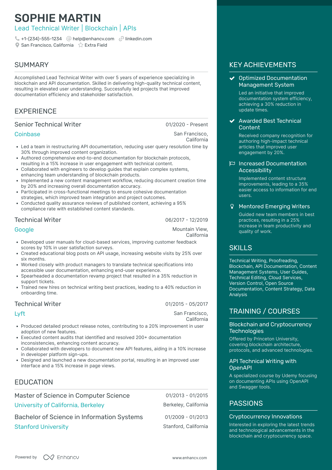 Lead Artist Resume Example