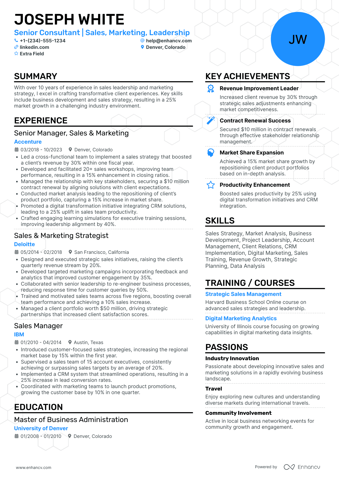 Digital Marketing Sales Consultant Resume Example