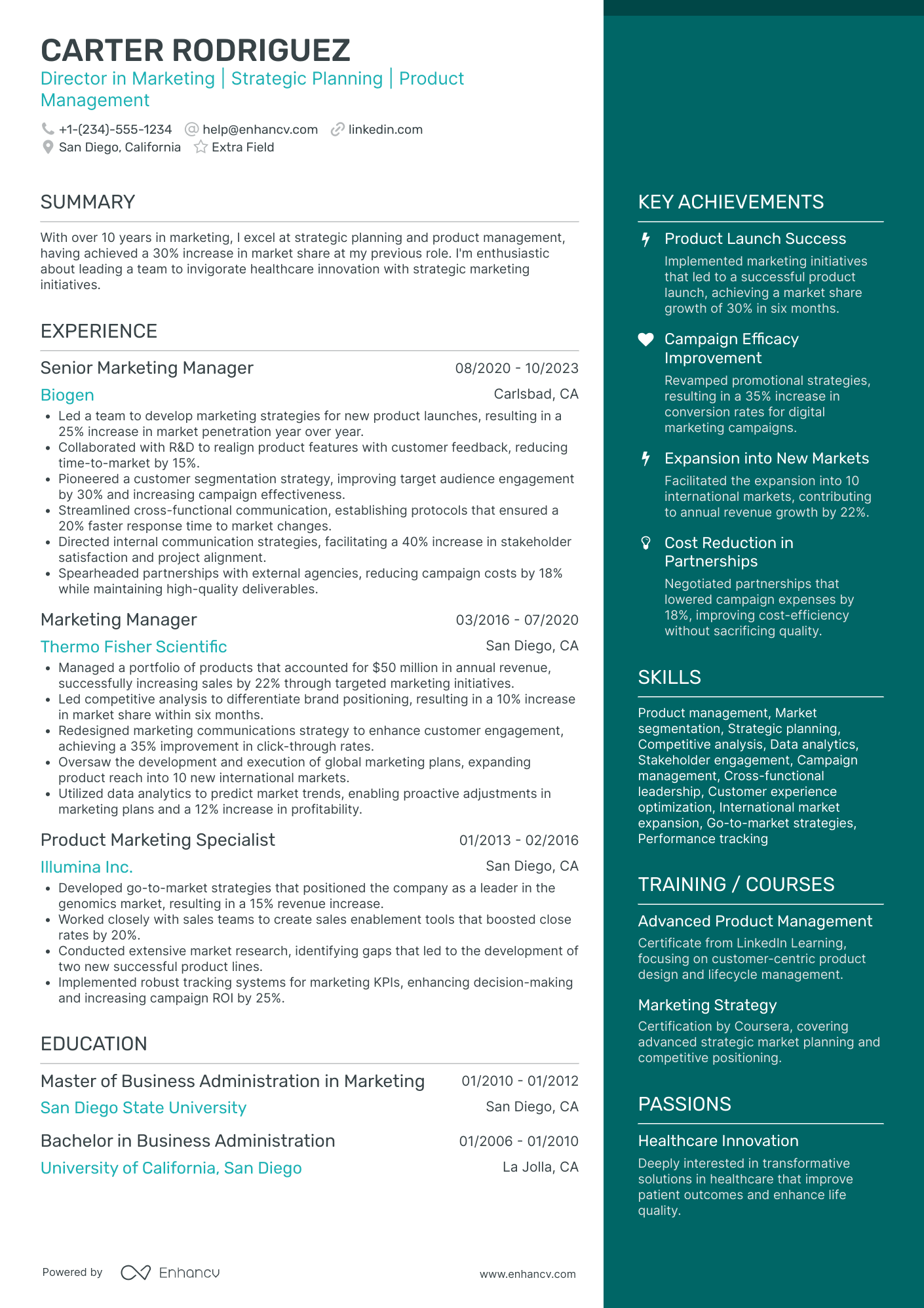 Creative Marketing Director Resume Example