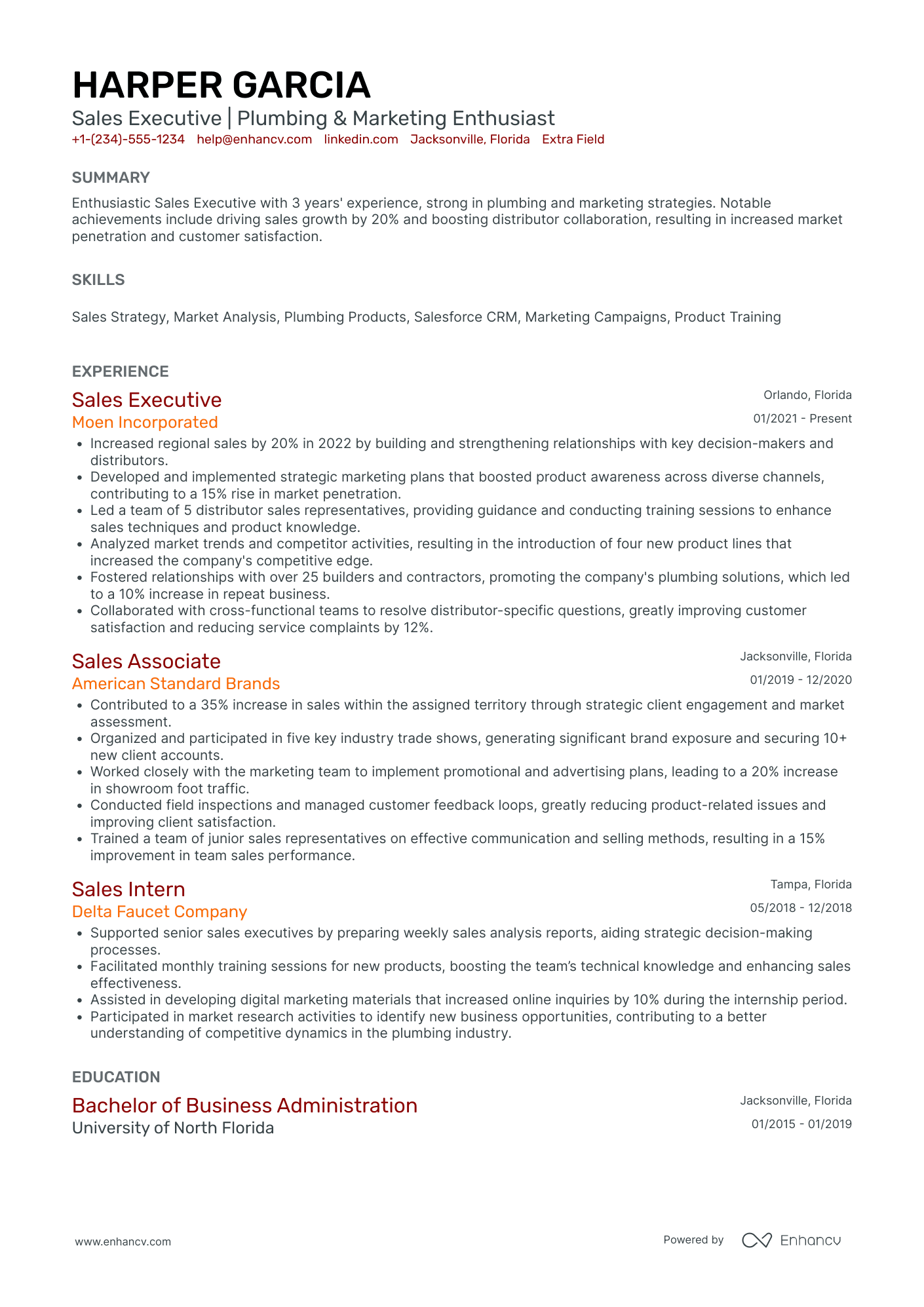 Junior Sales Executive Resume Example