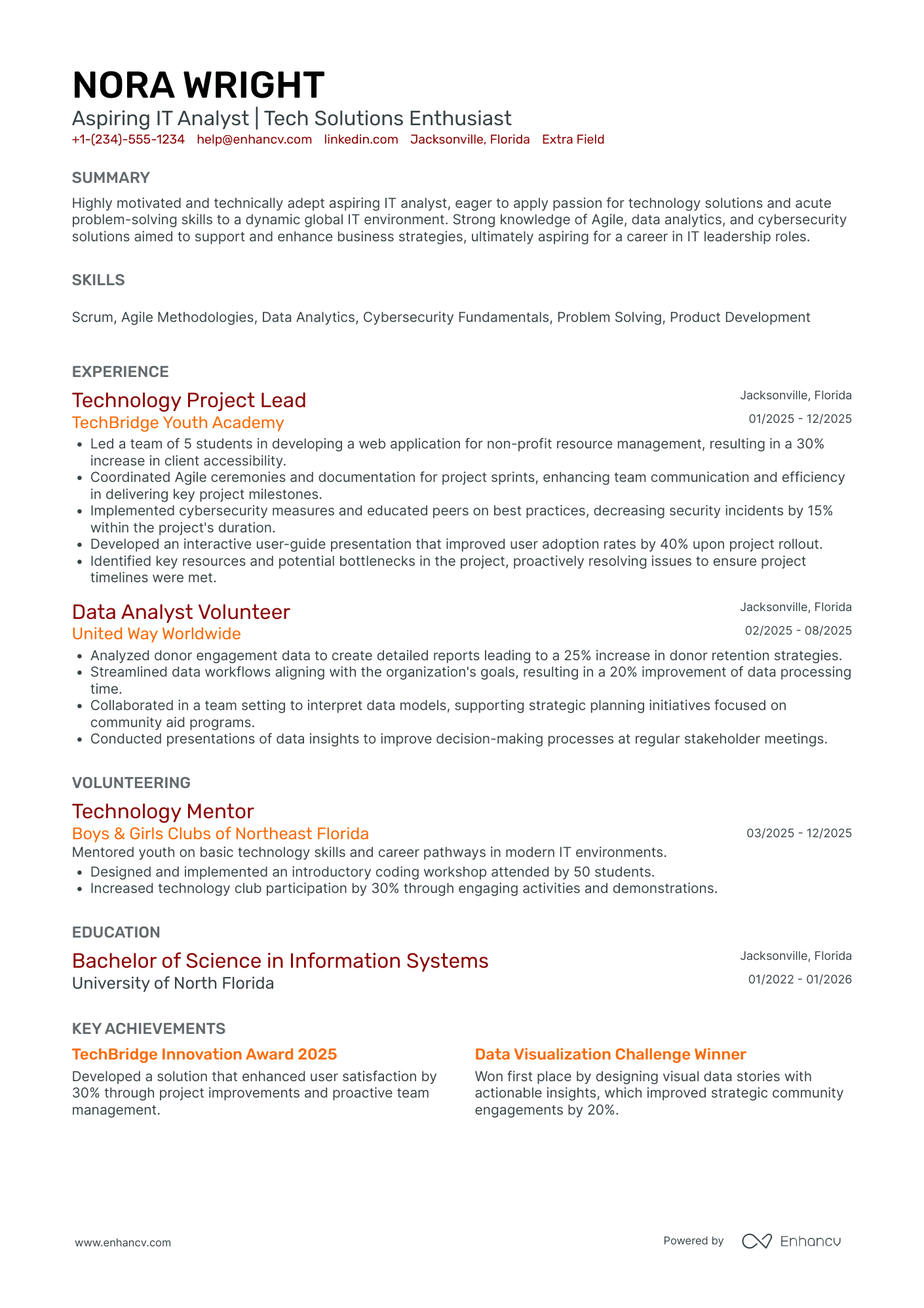 Junior IT Analyst Intern Resume Example