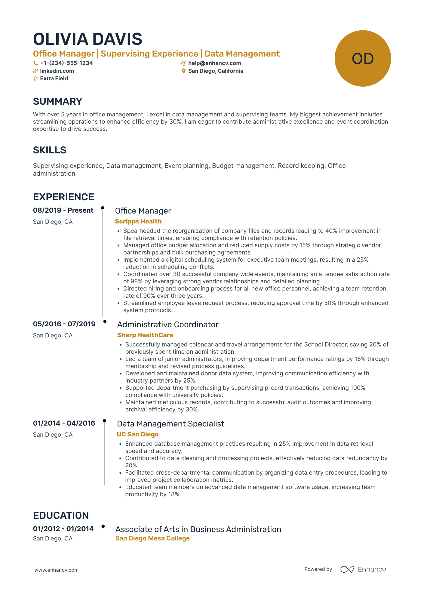 Back Office Manager Resume Example