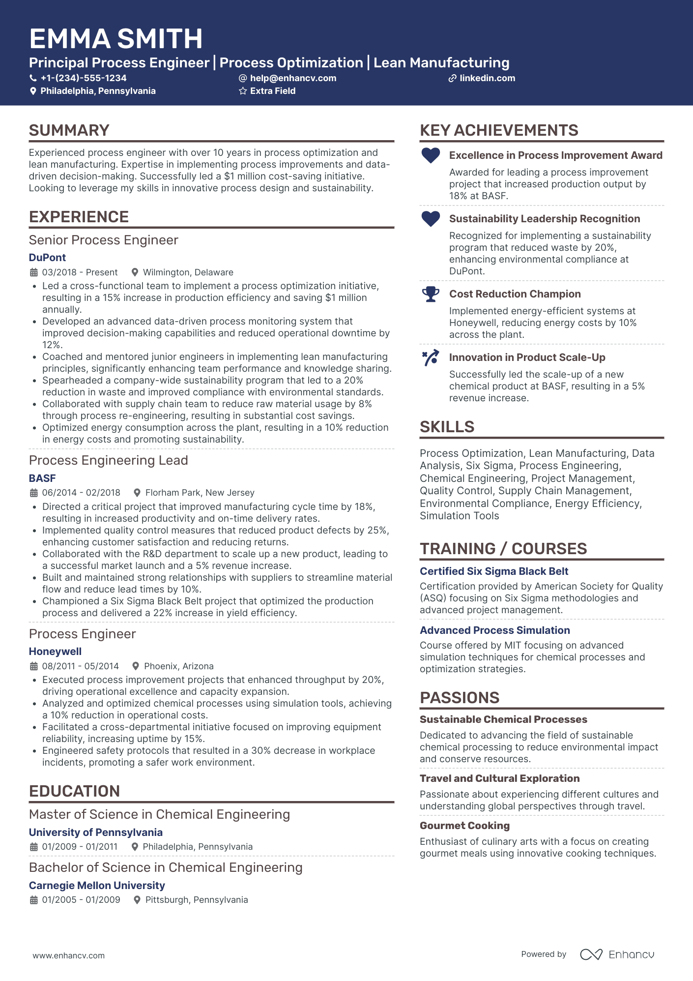 Principal Process Engineer Resume Example