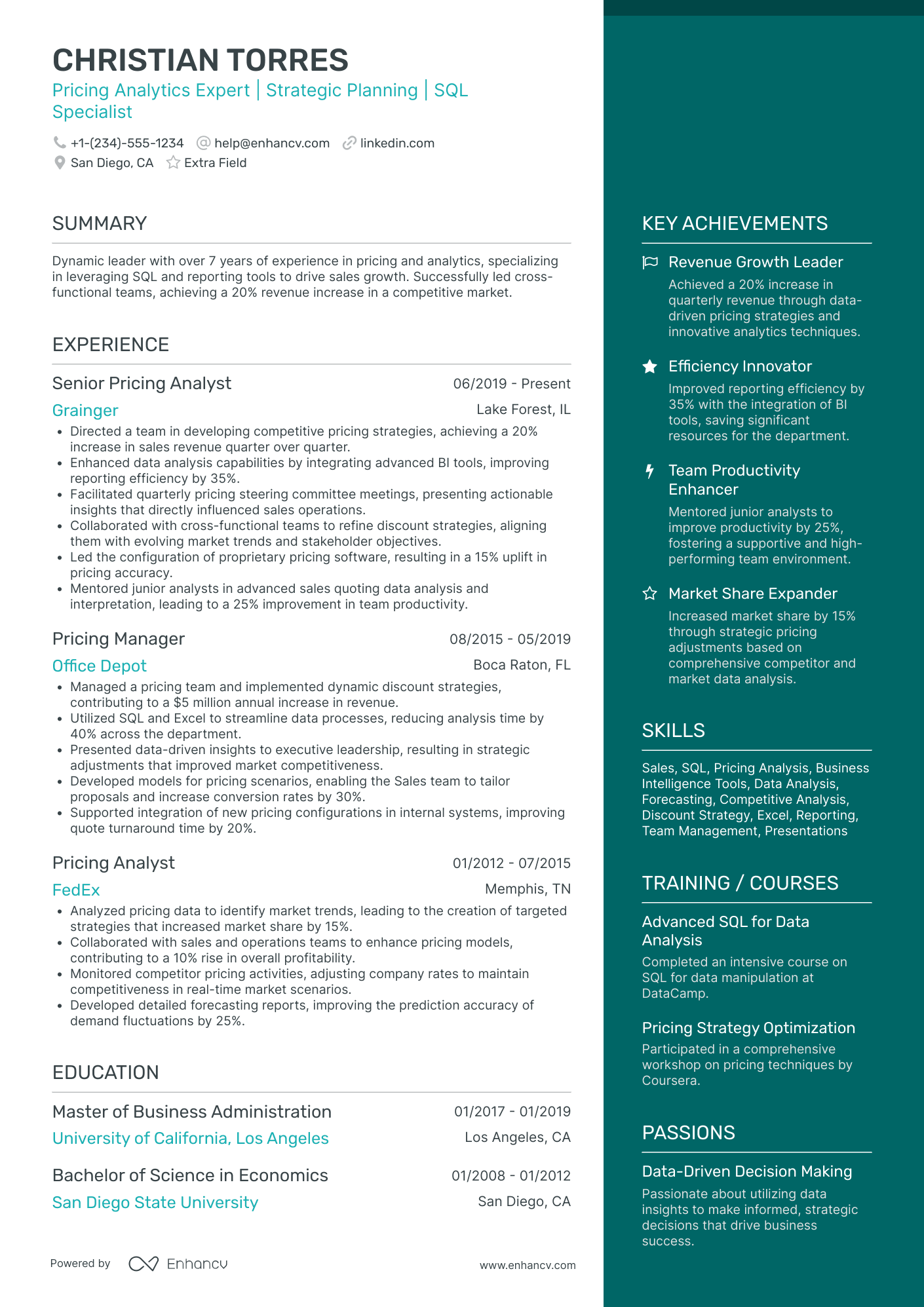 Pricing Analytics Manager Resume Example