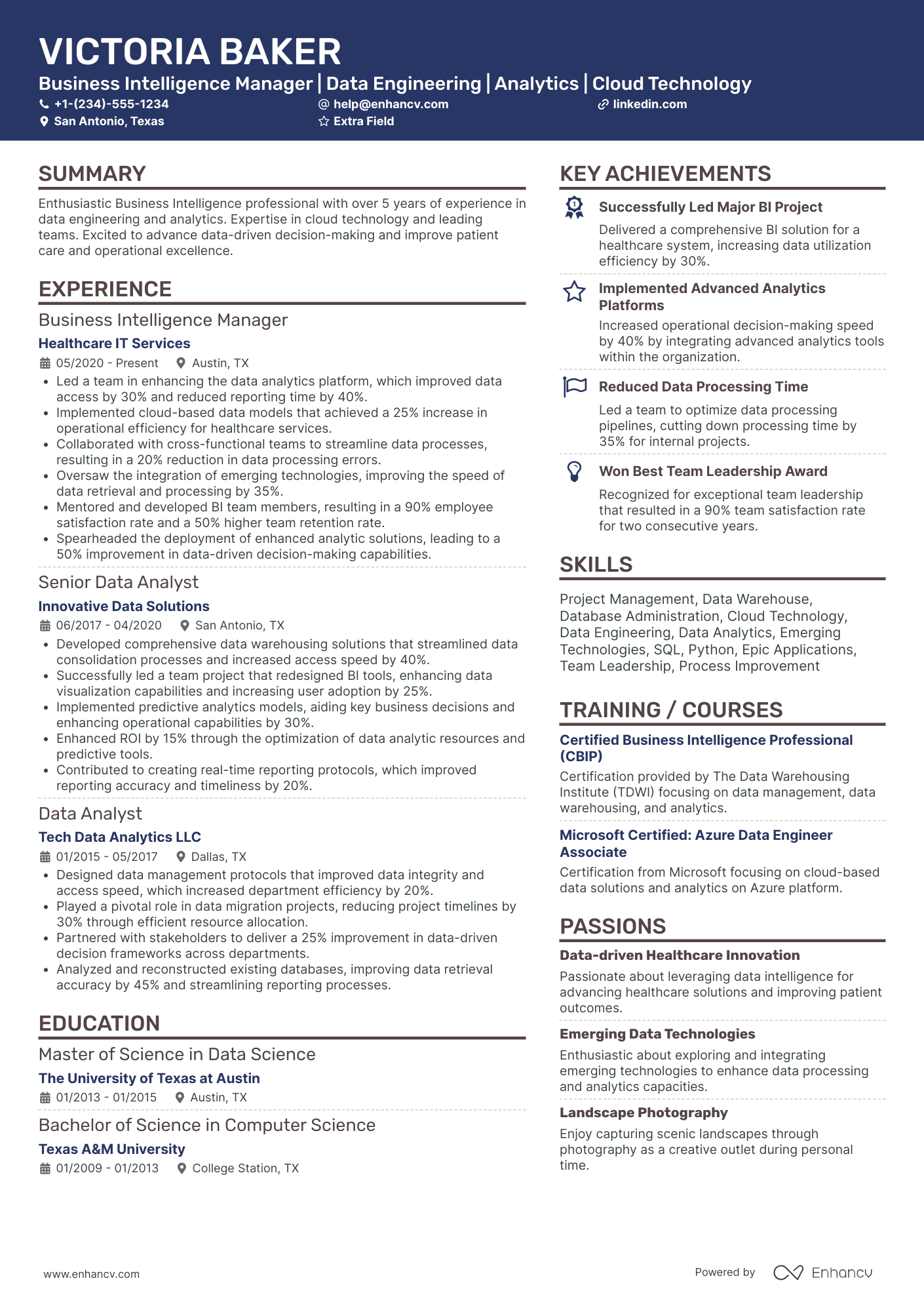 Business Intelligence Manager Resume Example