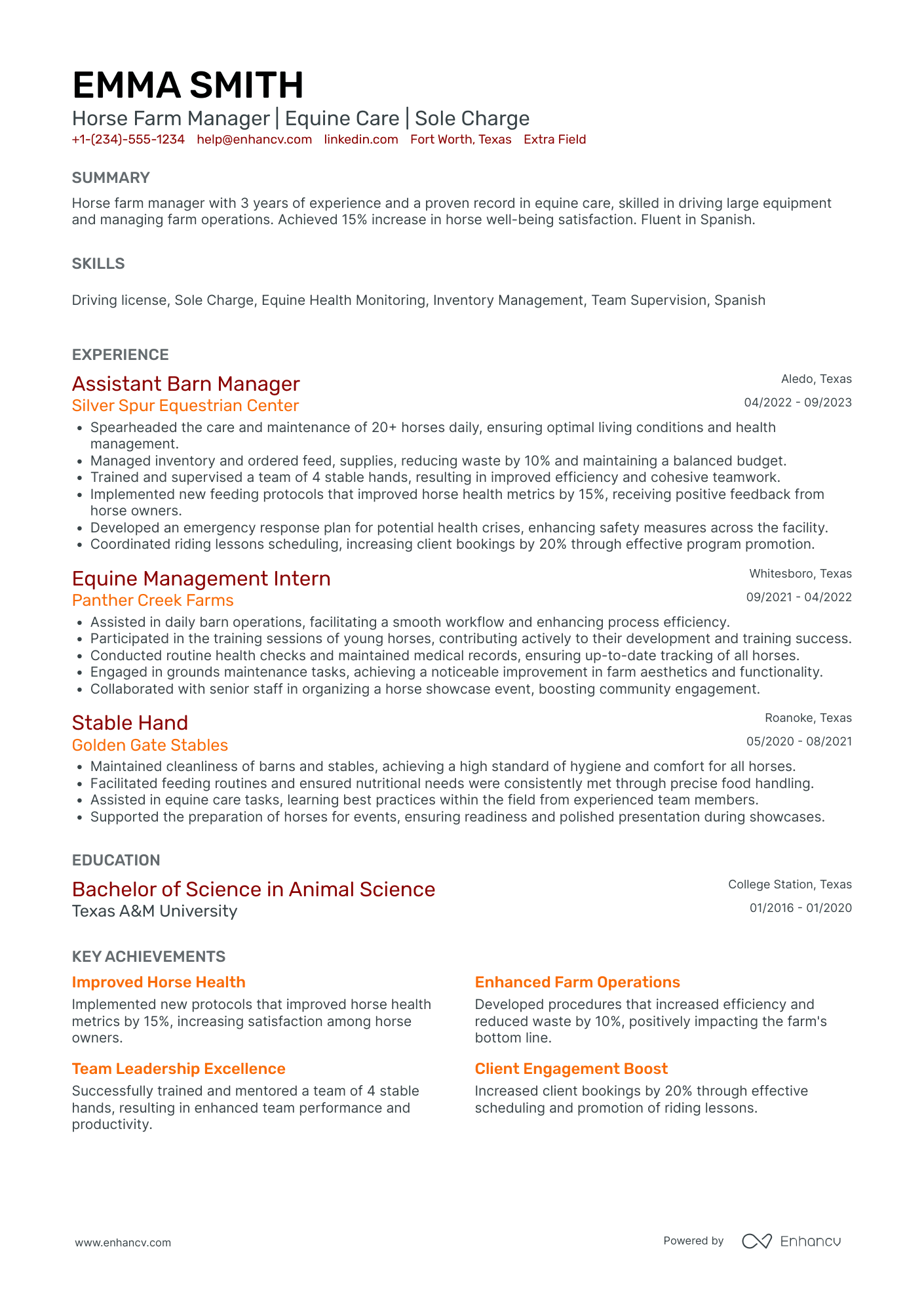 Junior Handyman Resume Example