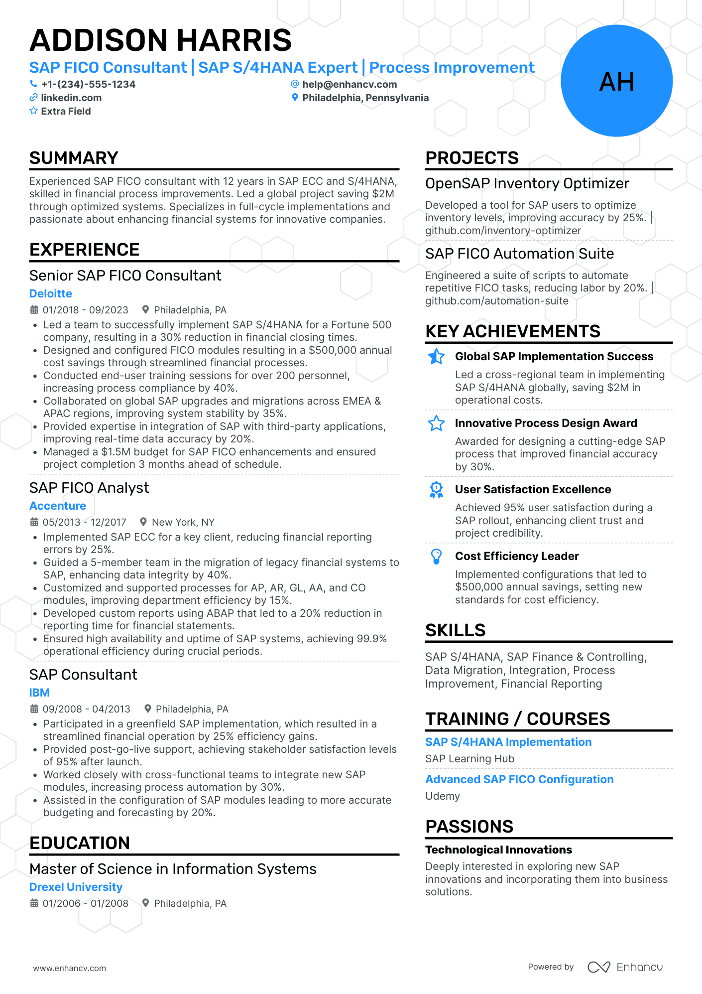 SAP FICO Consultant Resume Example