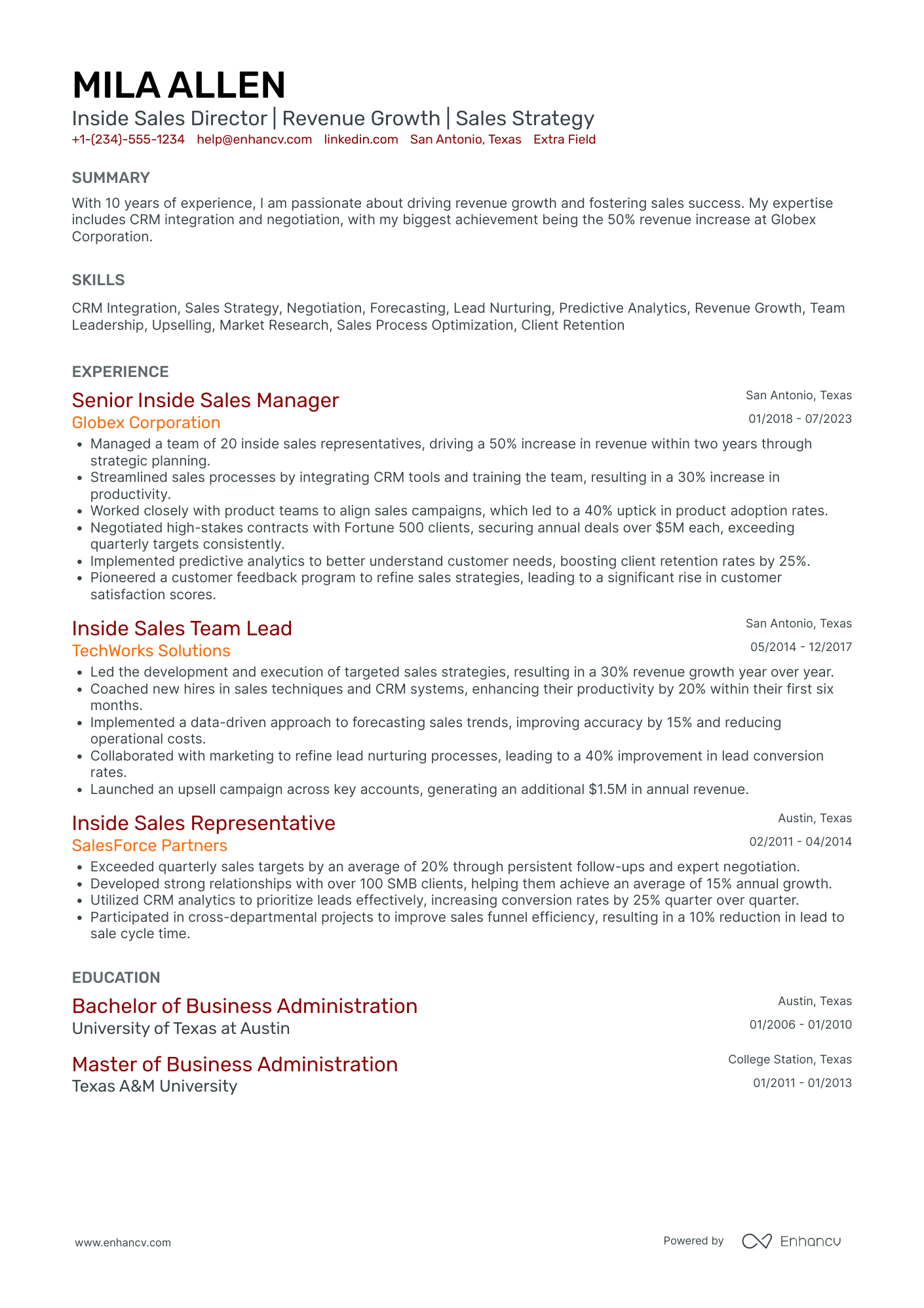 Inside Sales Director Resume Example