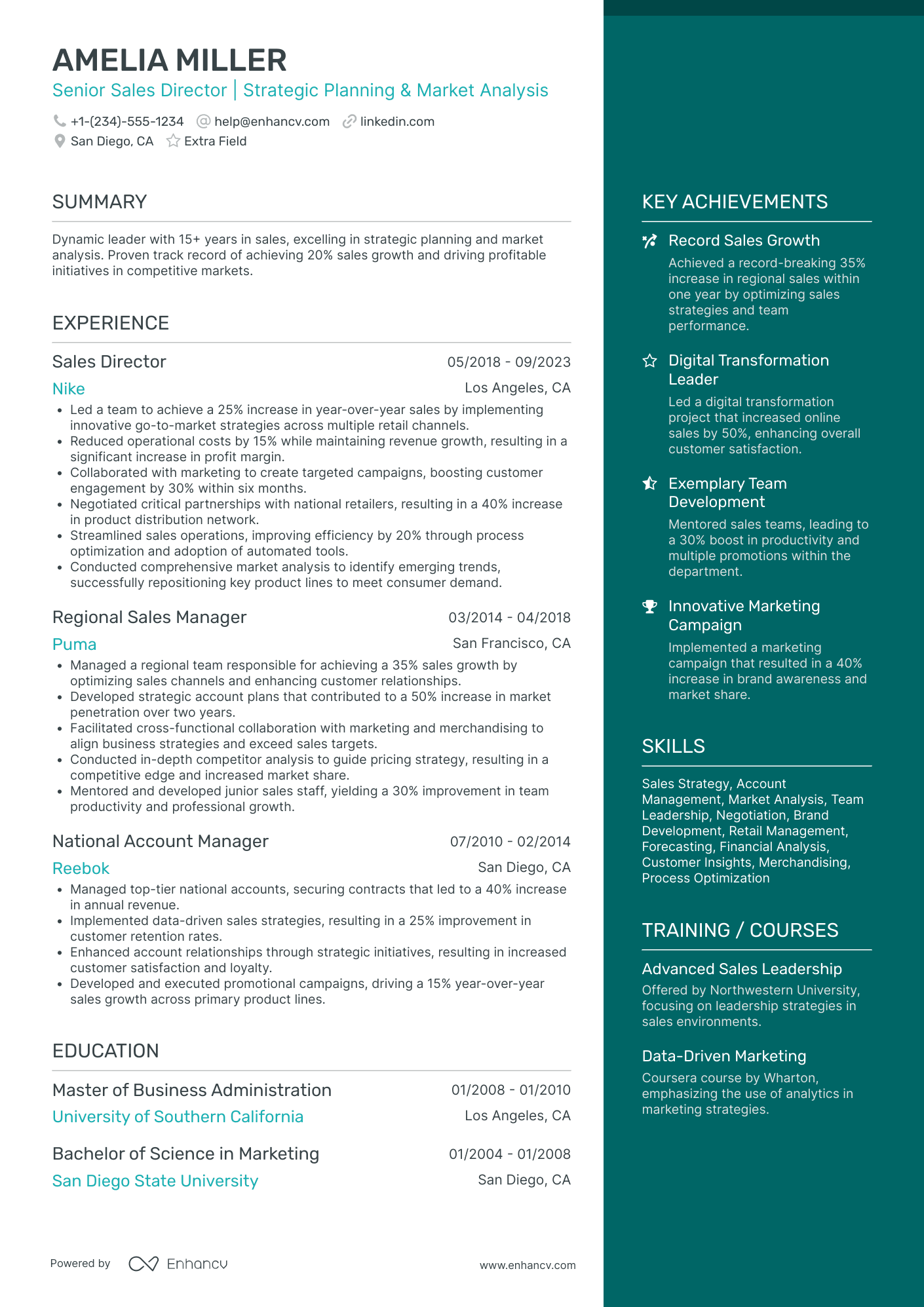 Senior Sales Director Resume Example