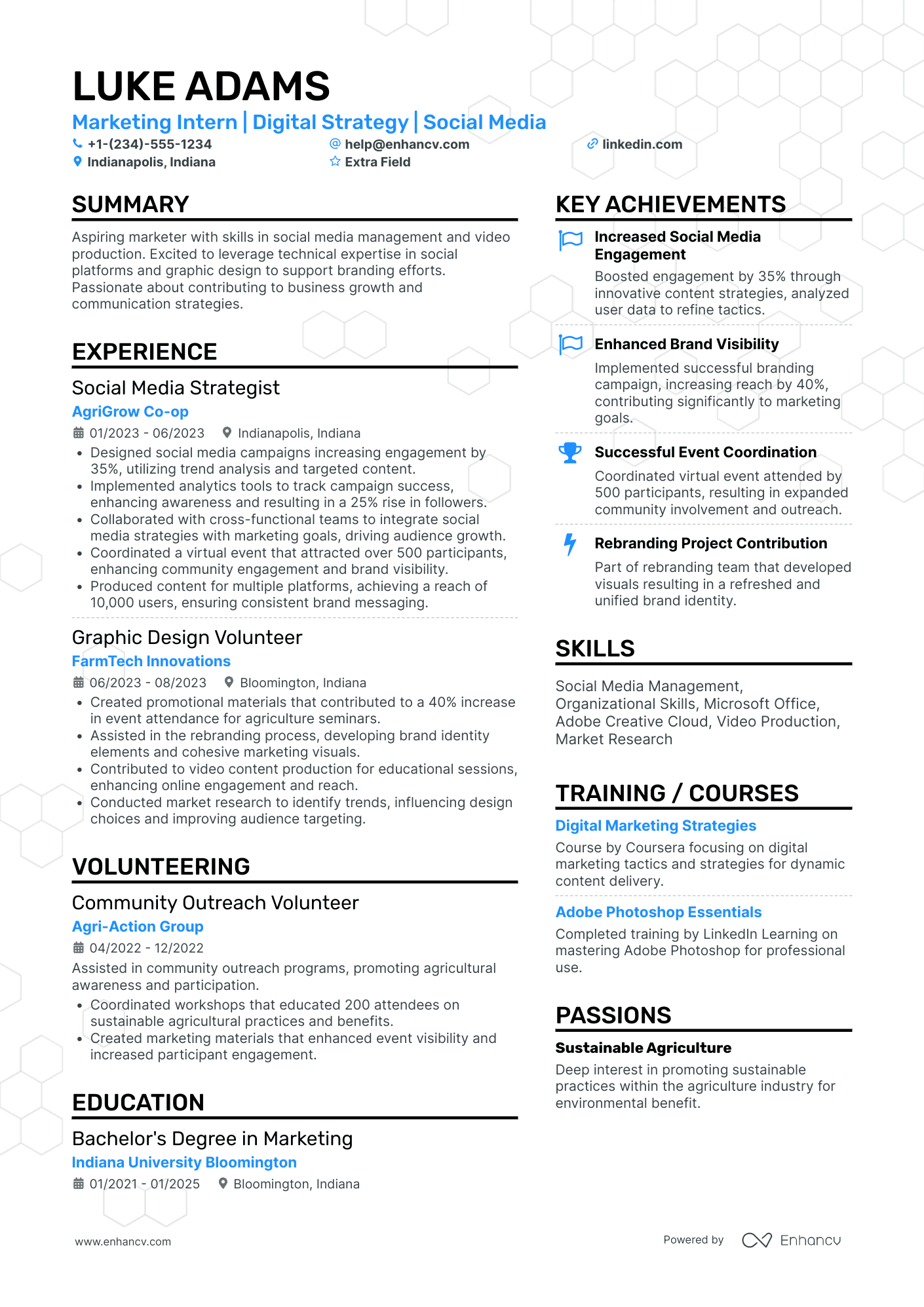 Entry Level Marketing Intern Resume Example