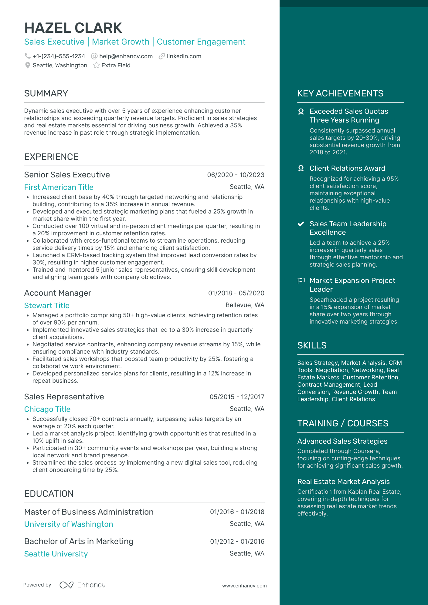 Direct Sales Executive Resume Example