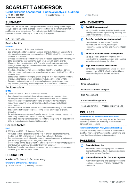 Financial Auditor Resume Example