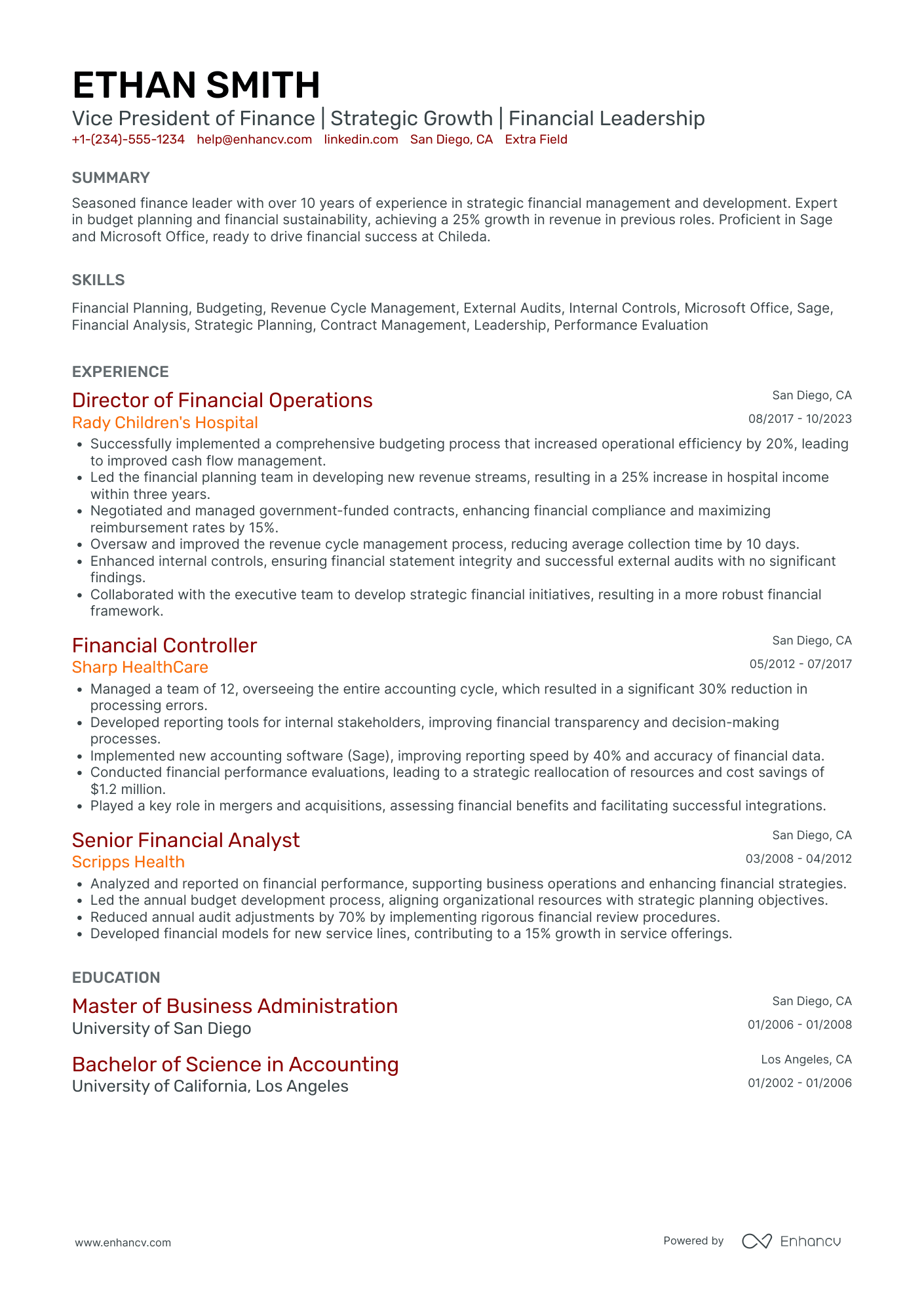 Vice President of Finance Resume Example