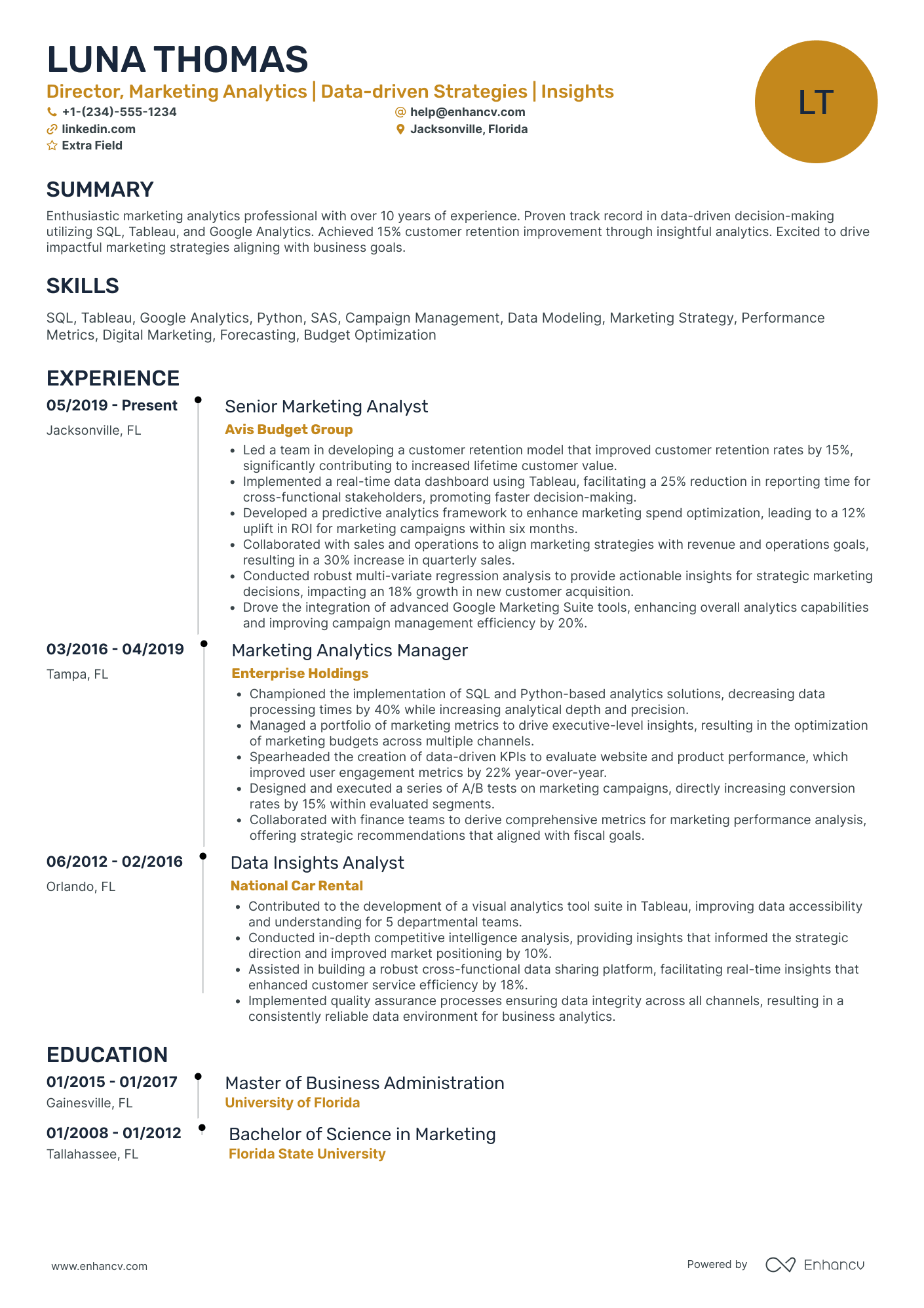 Field Marketing Director Resume Example