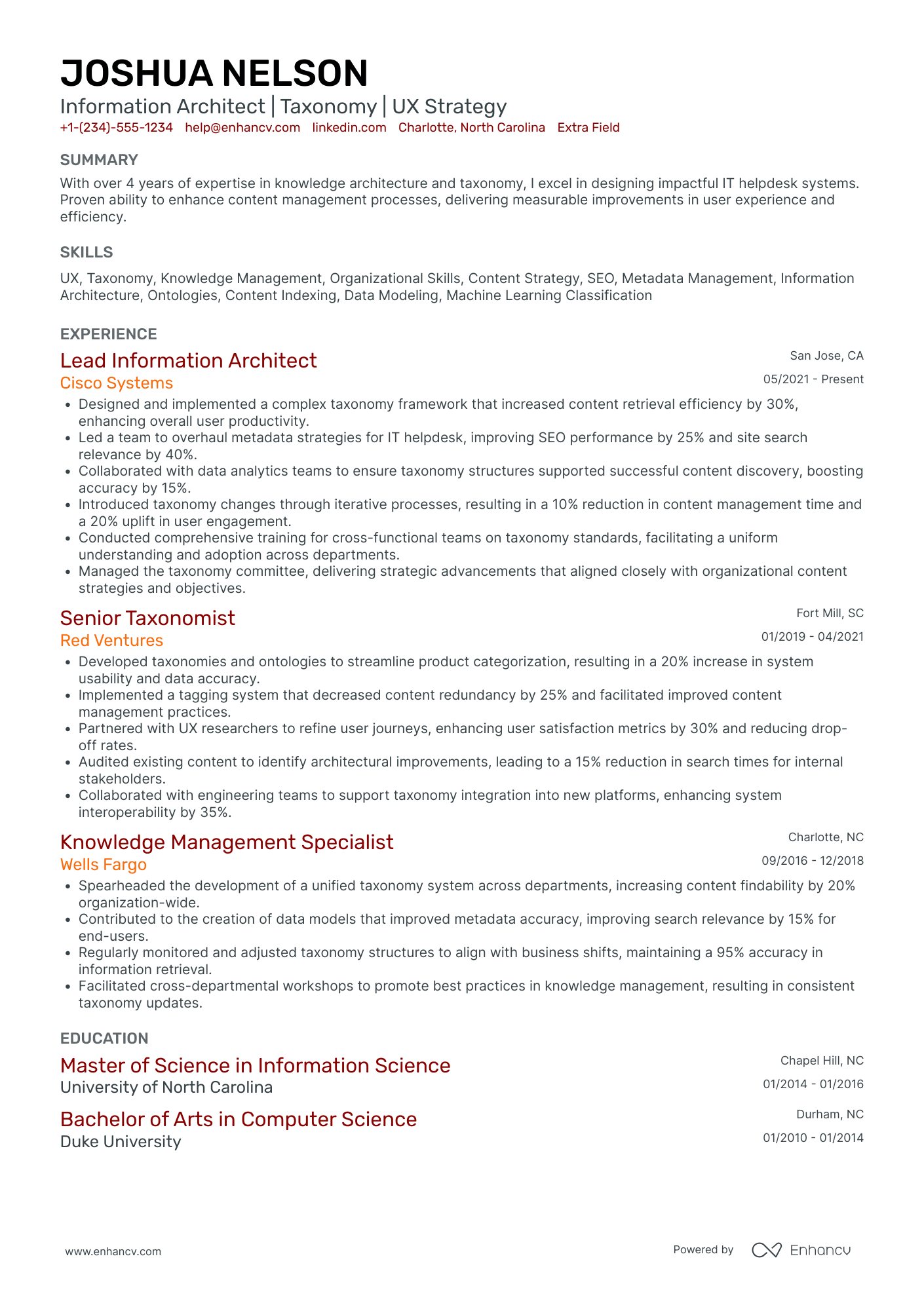 Information Architect Resume Example