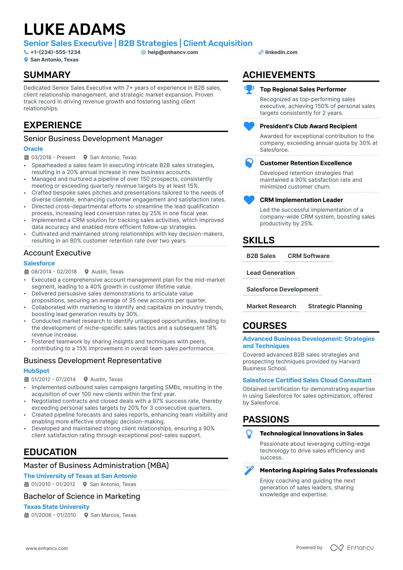 Senior Sales Executive Resume Example