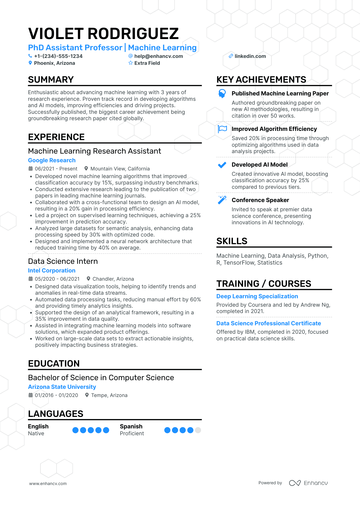 PhD Assistant Professor Resume Example