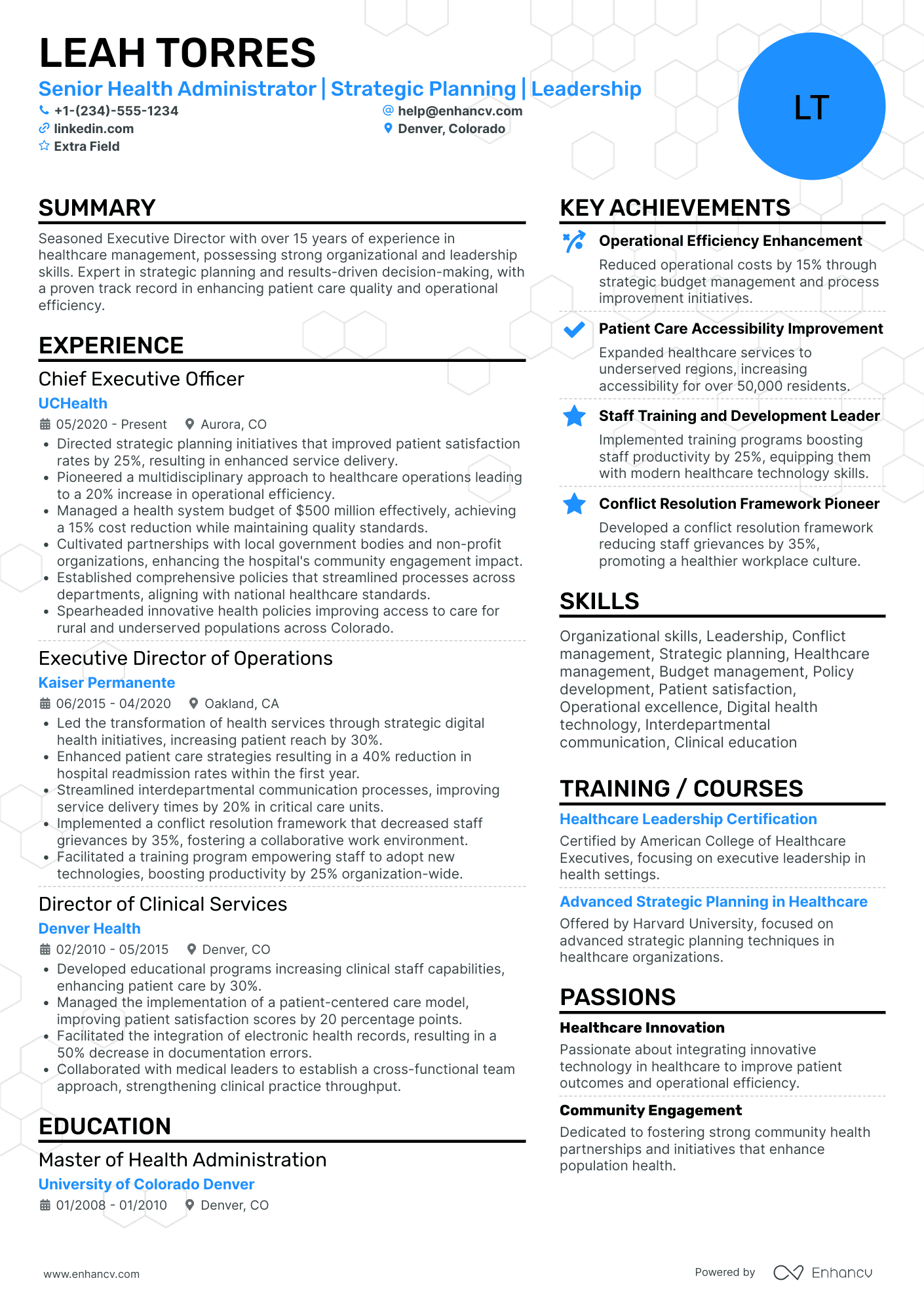 Co Executive Director Resume Example