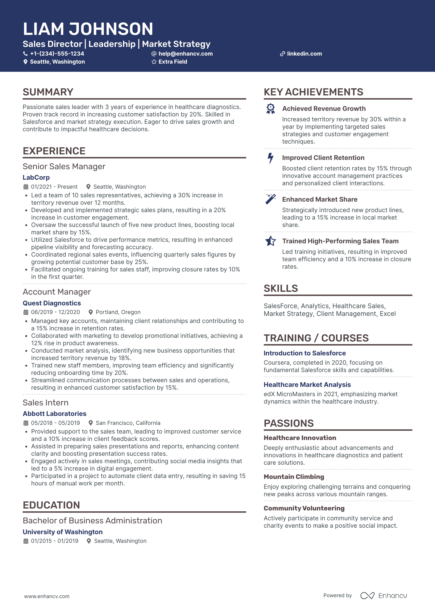 Junior Sales Director Resume Example