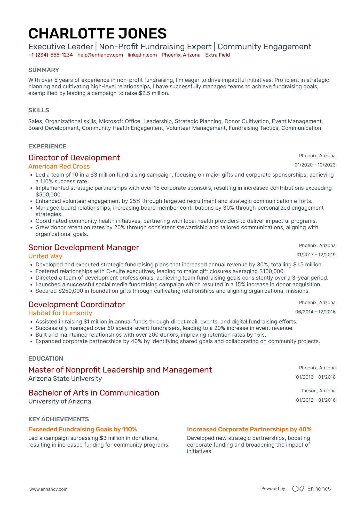 Vice Executive Director Resume Example